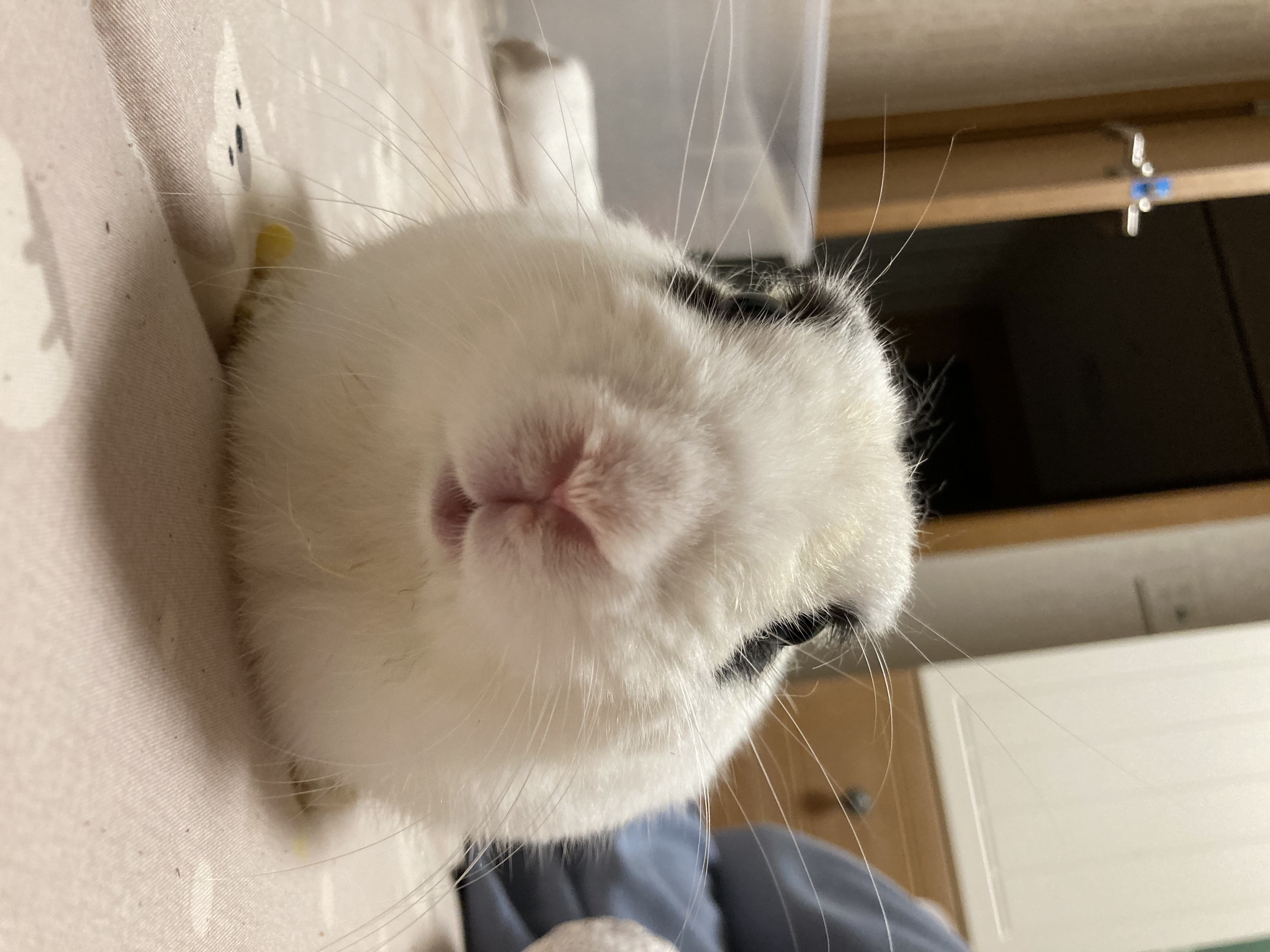 '도'와 함께한 행복한 일주일