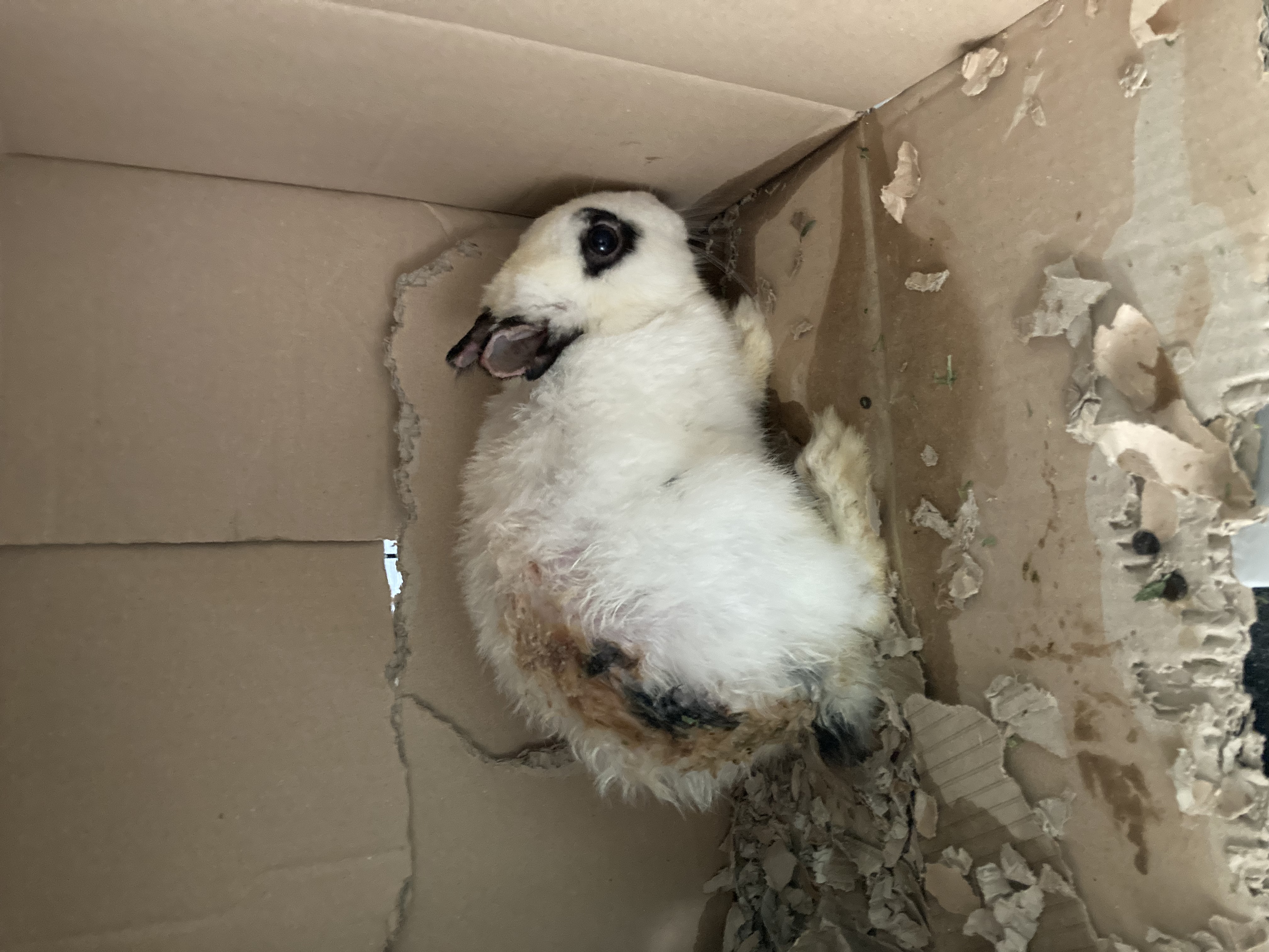 '도'와 함께한 행복한 일주일