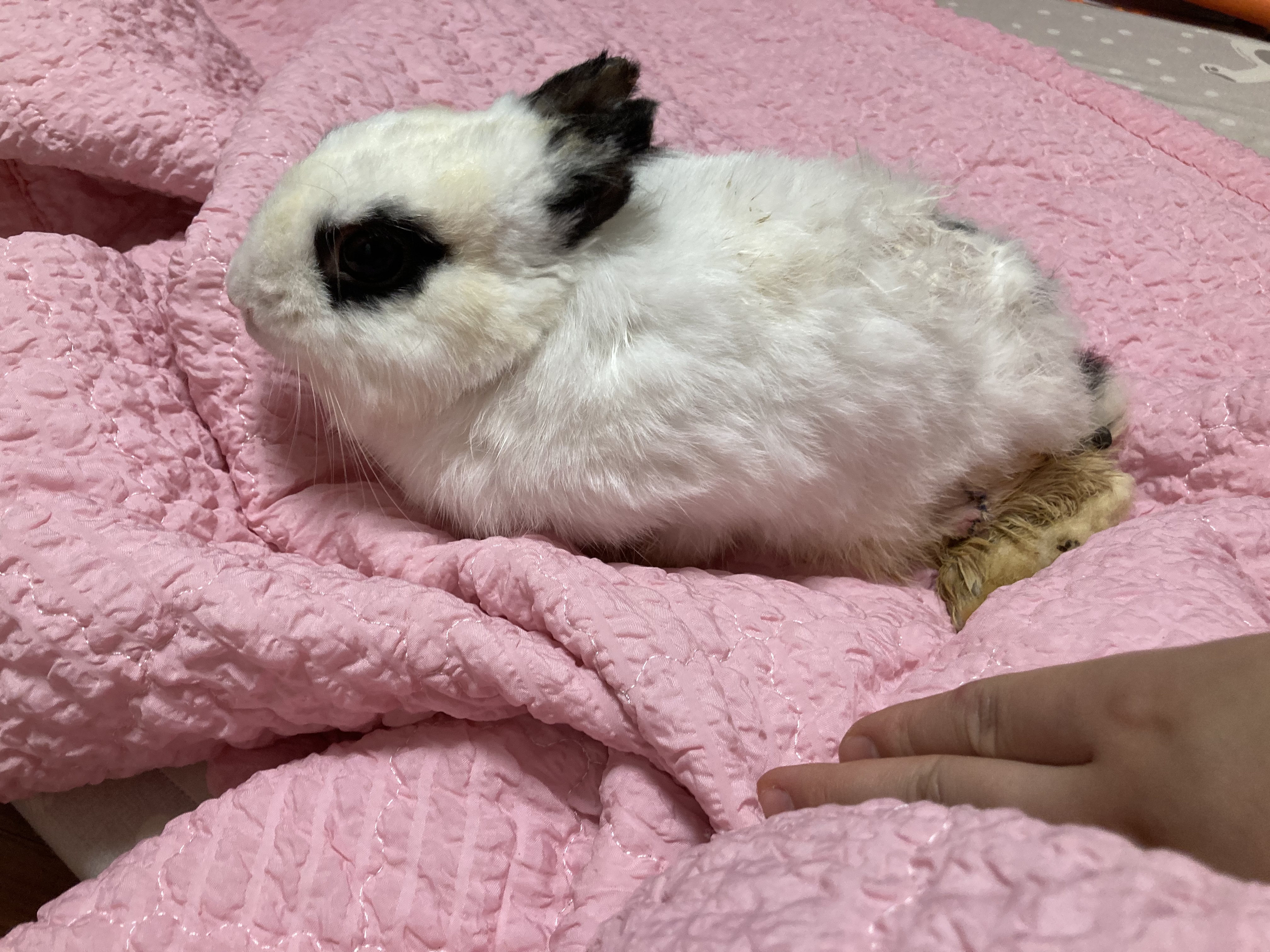 '도'와 함께한 행복한 일주일