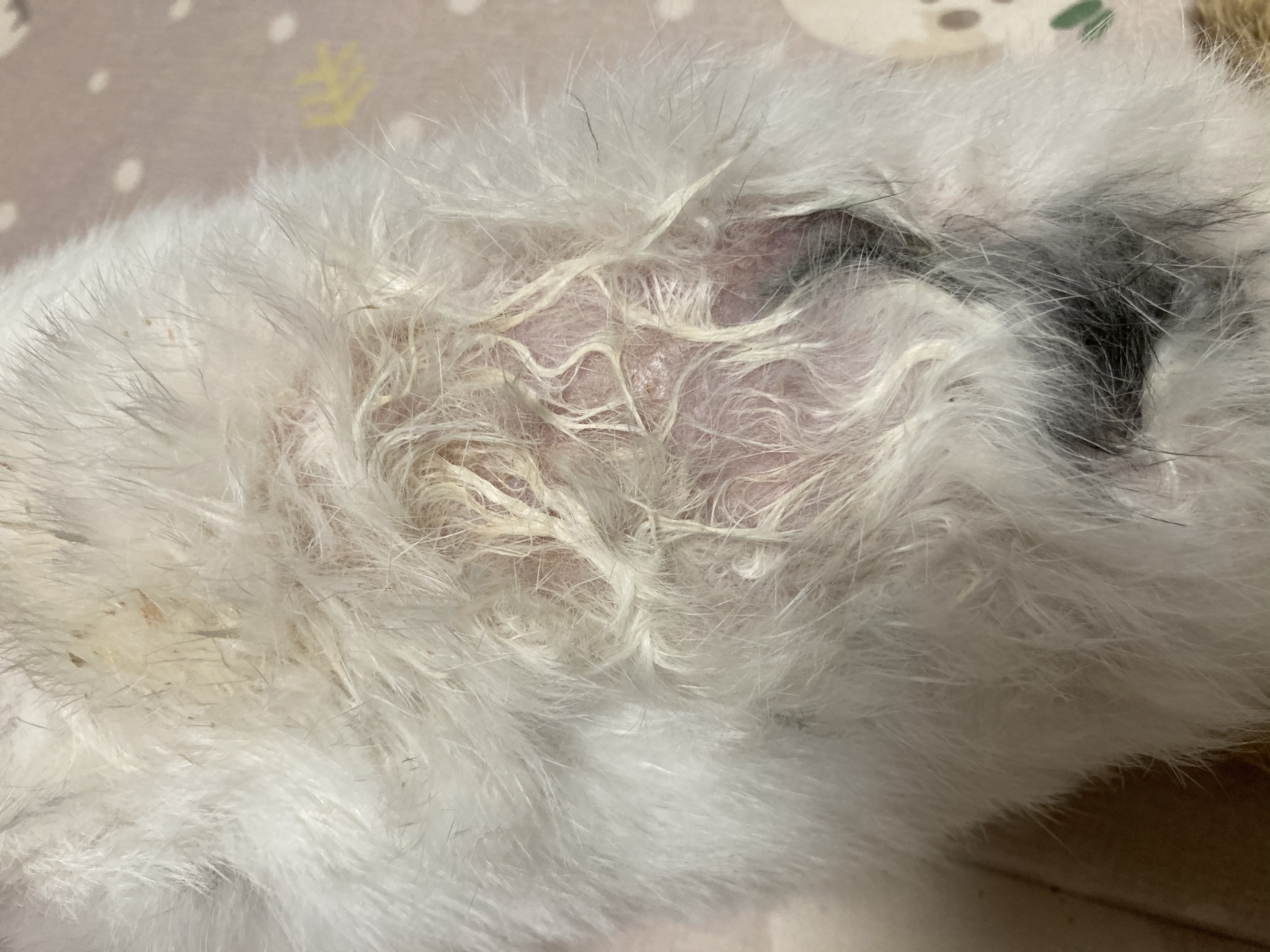 '도'와 함께한 행복한 일주일