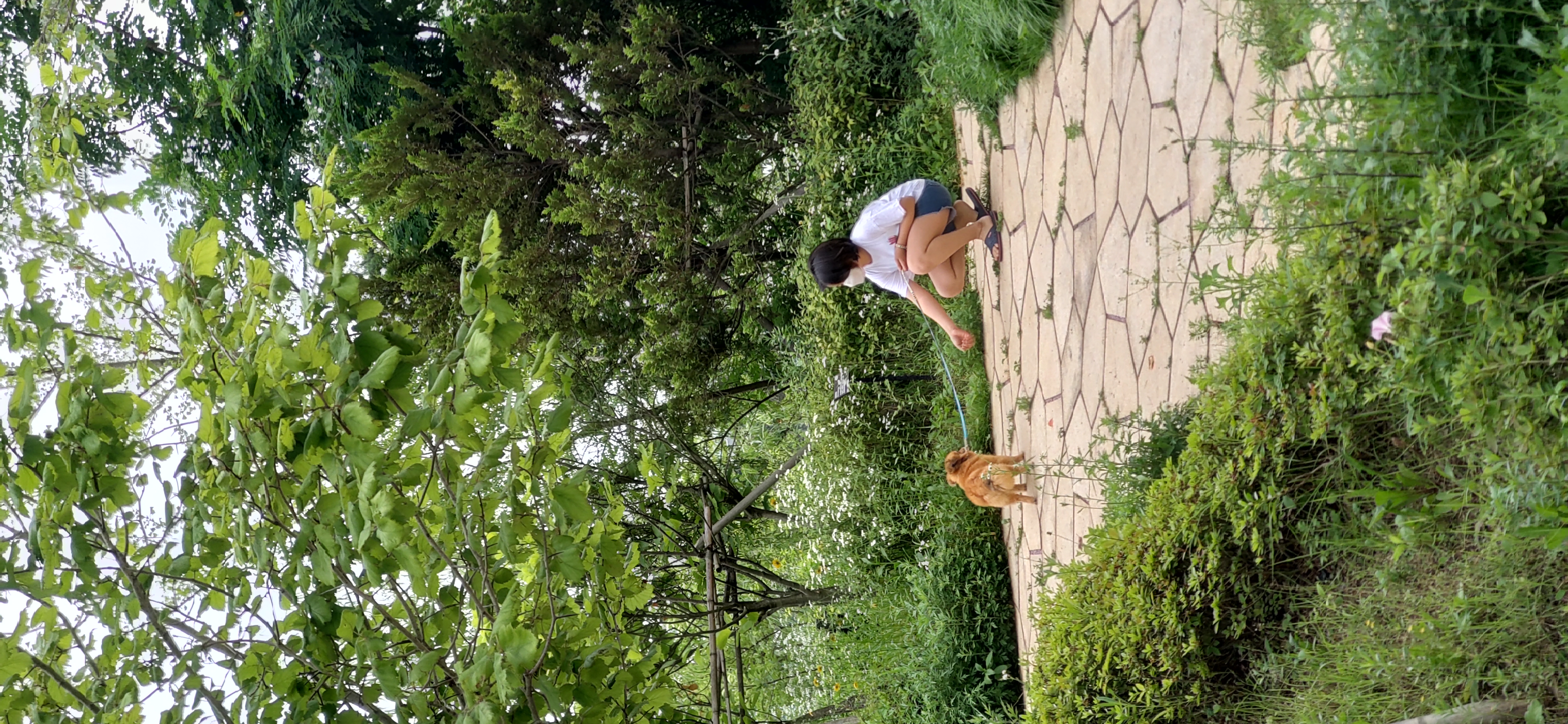 티거(곤지암2-워터)와 가족 된지 한달. 두번째 후기