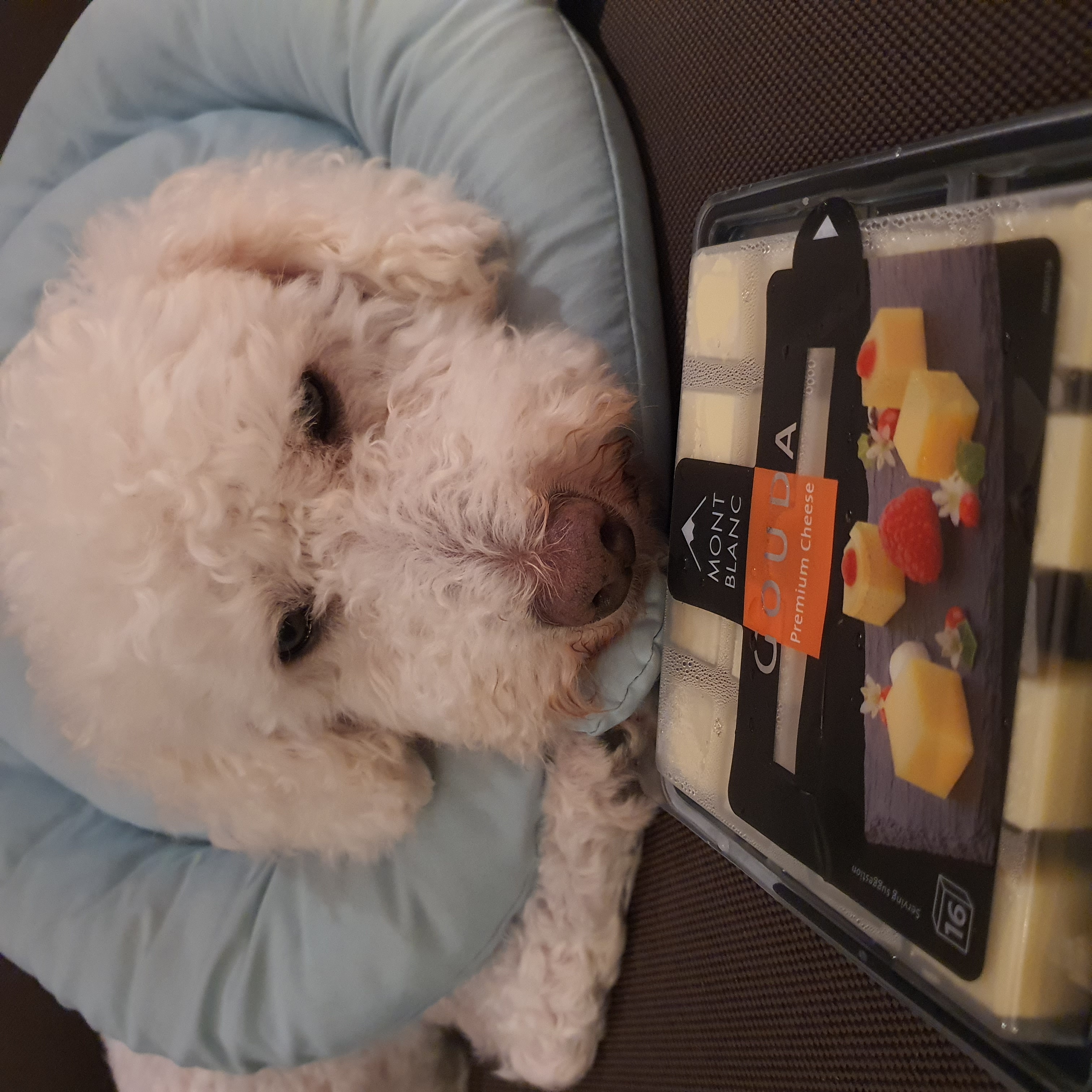 곤지암 레일이 2달 후기 ( 현 : 최고다 )