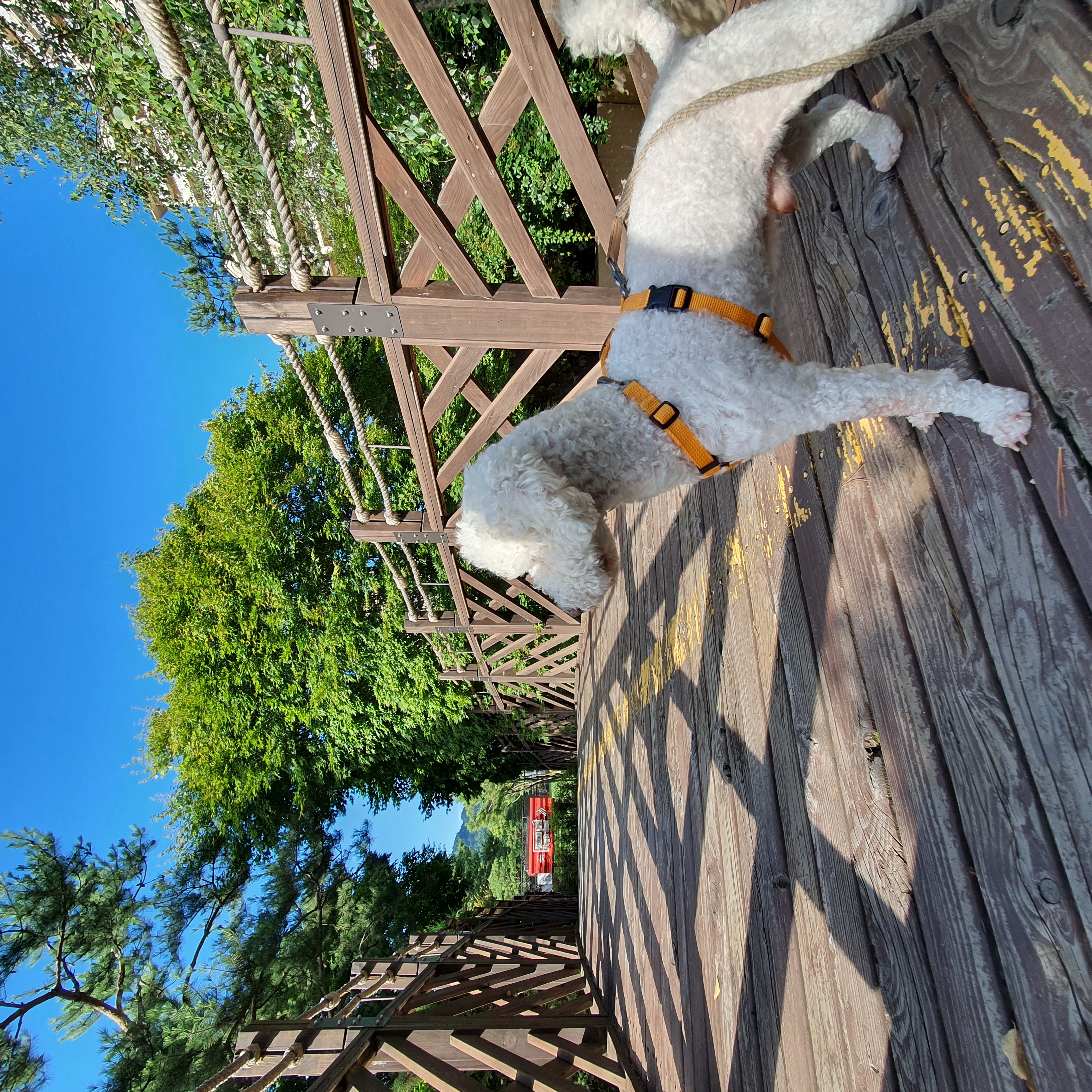 곤지암 레일이 2달 후기 ( 현 : 최고다 )