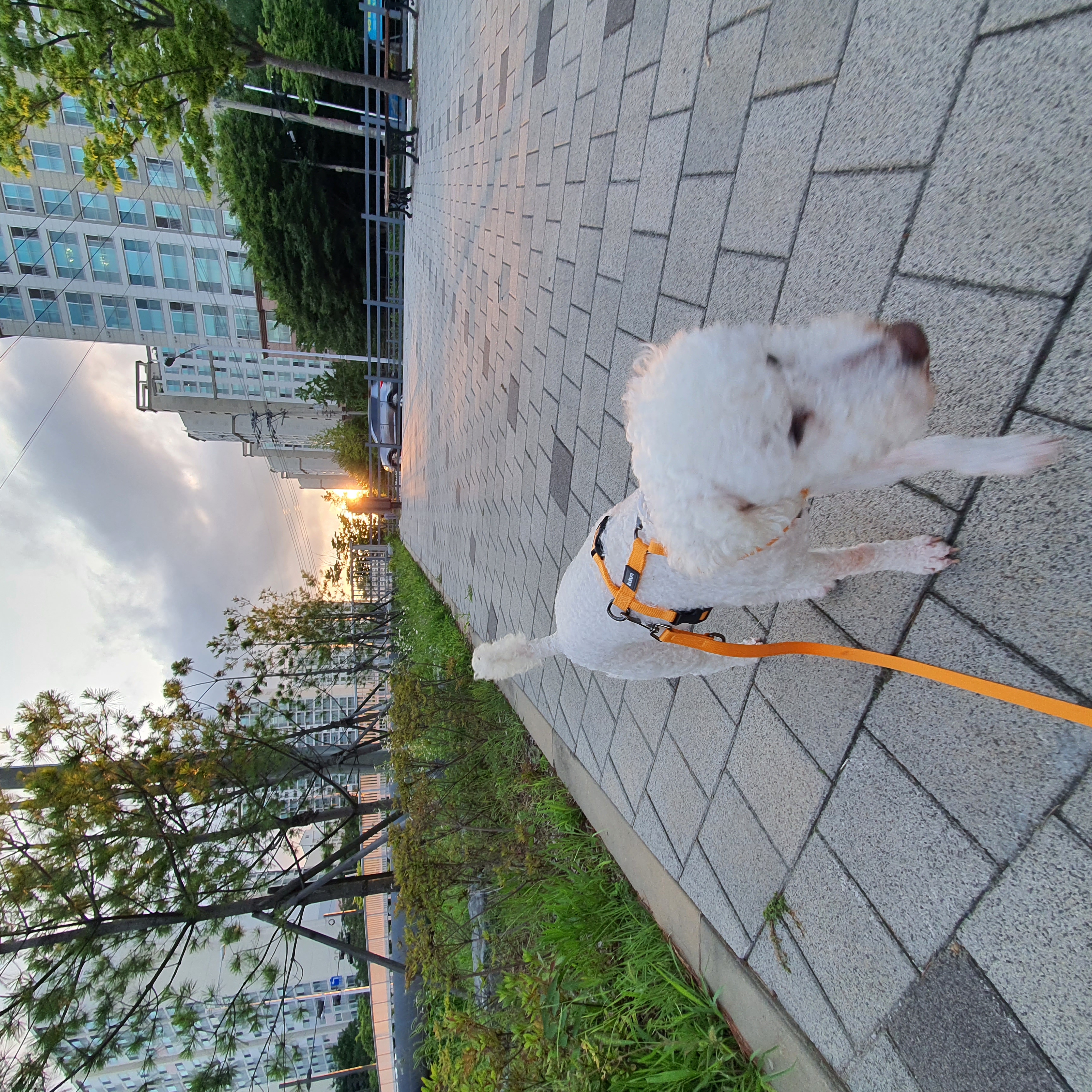 곤지암 레일이 2달 후기 ( 현 : 최고다 )