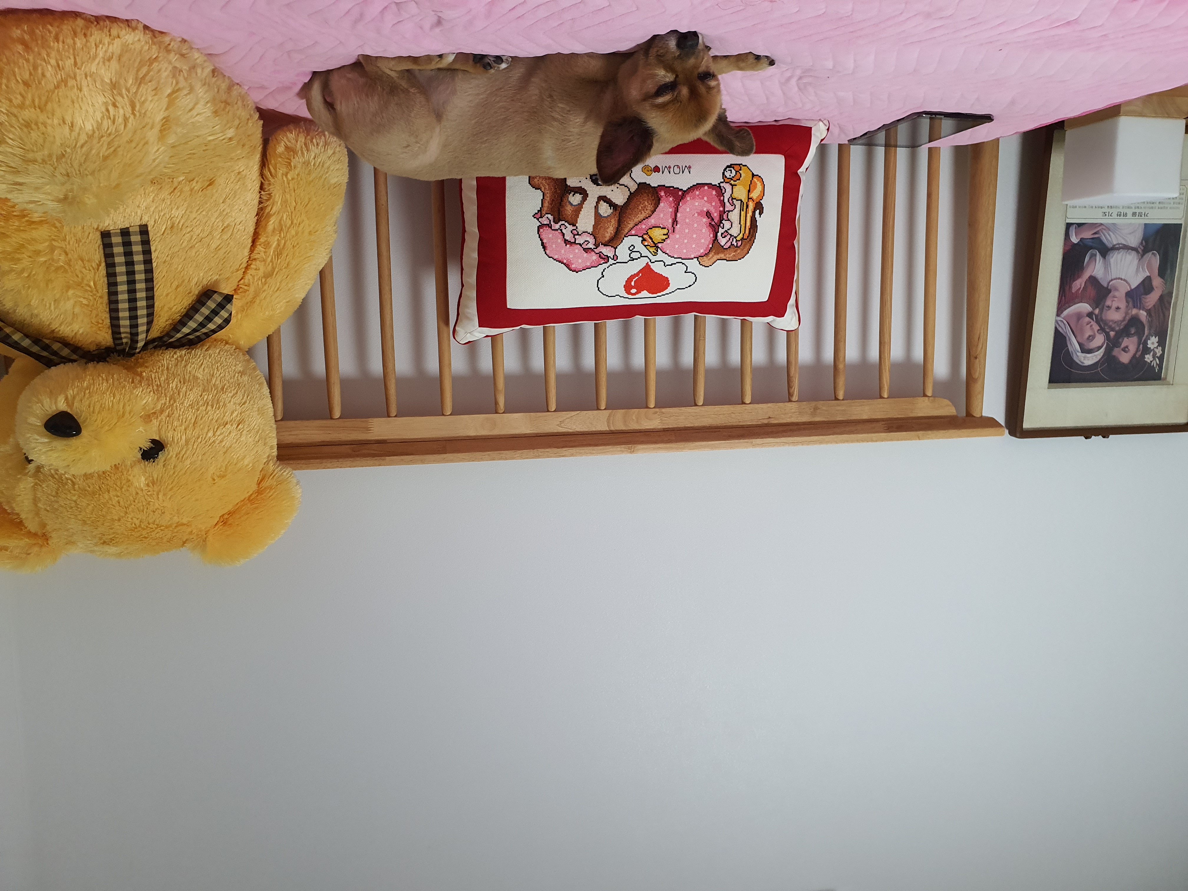 멜론이 ~~5개월차~잘지내고 있어요