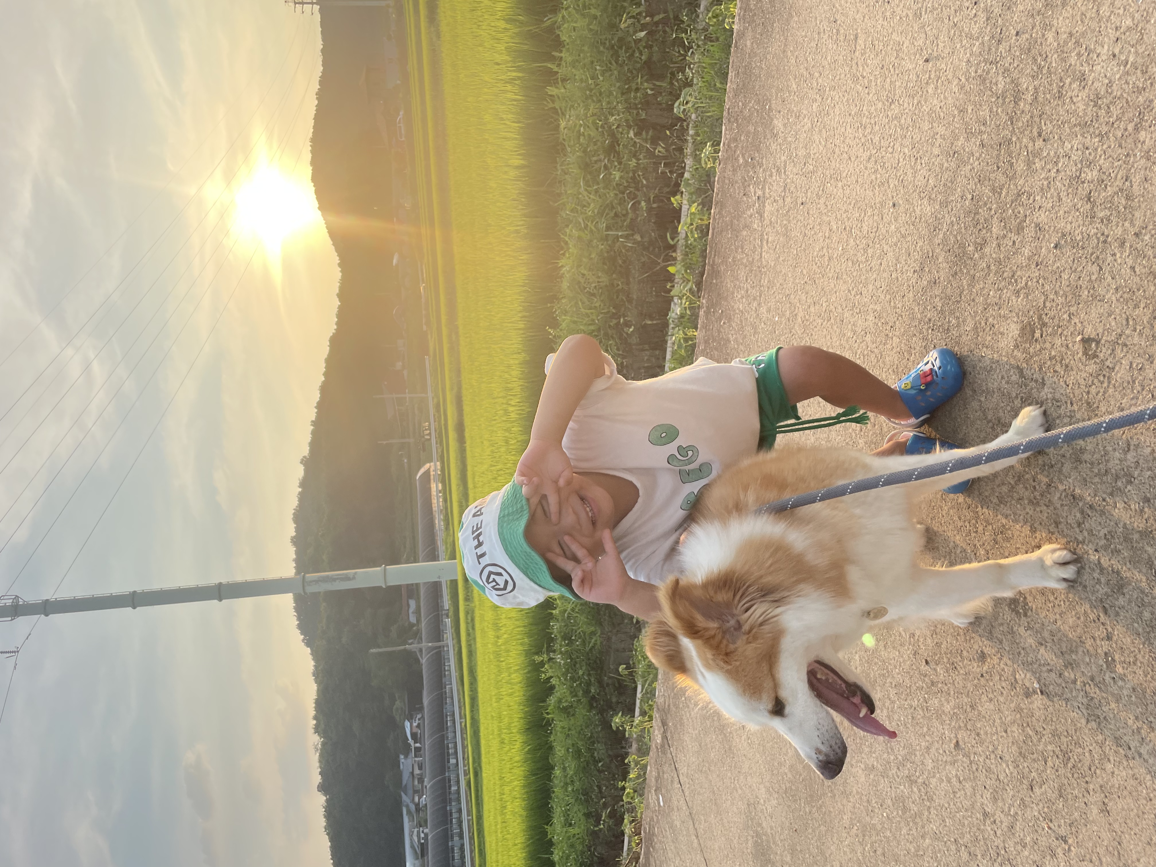 룽지가 온지 일주일이 되었네요