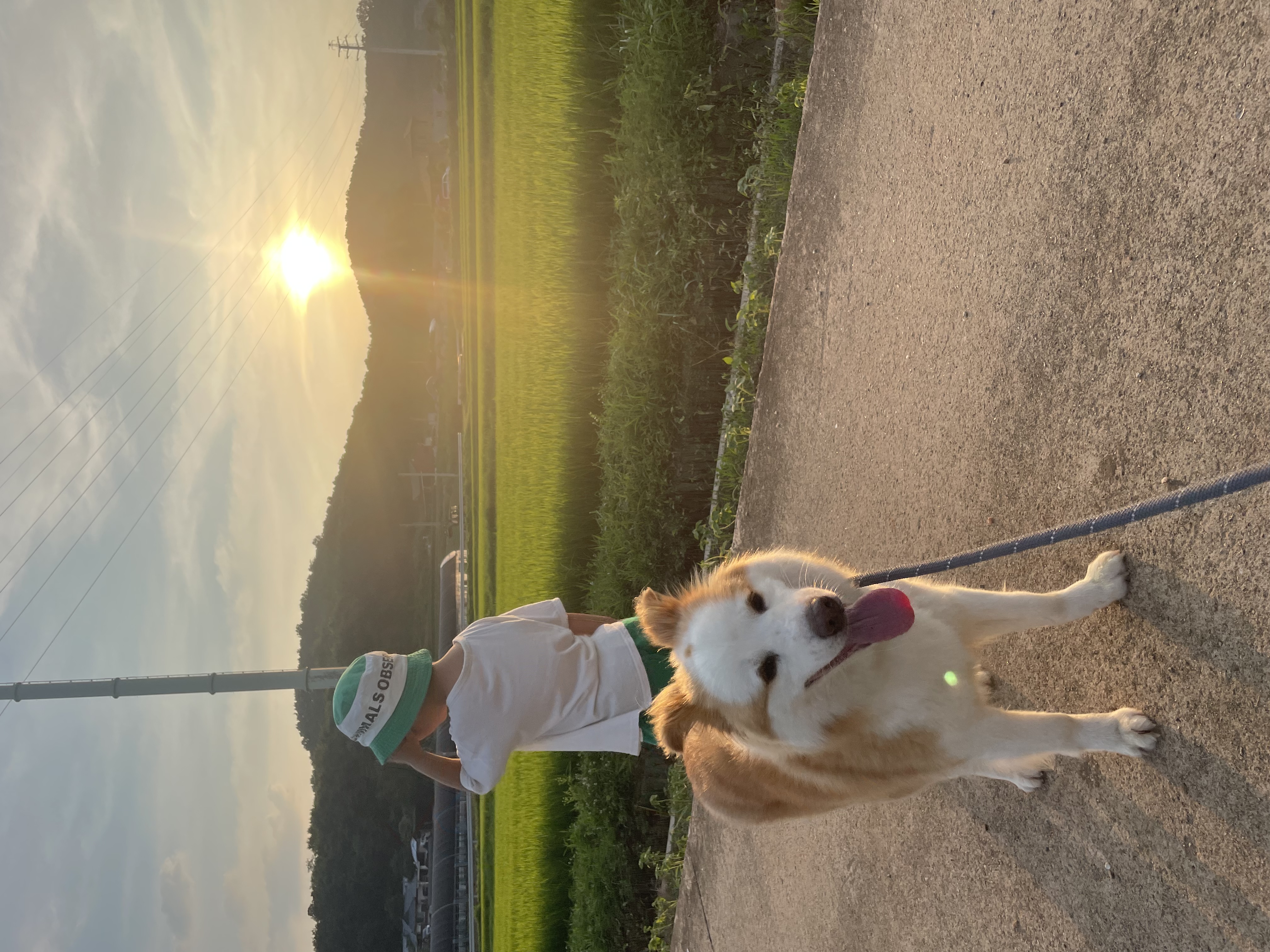 룽지가 온지 일주일이 되었네요