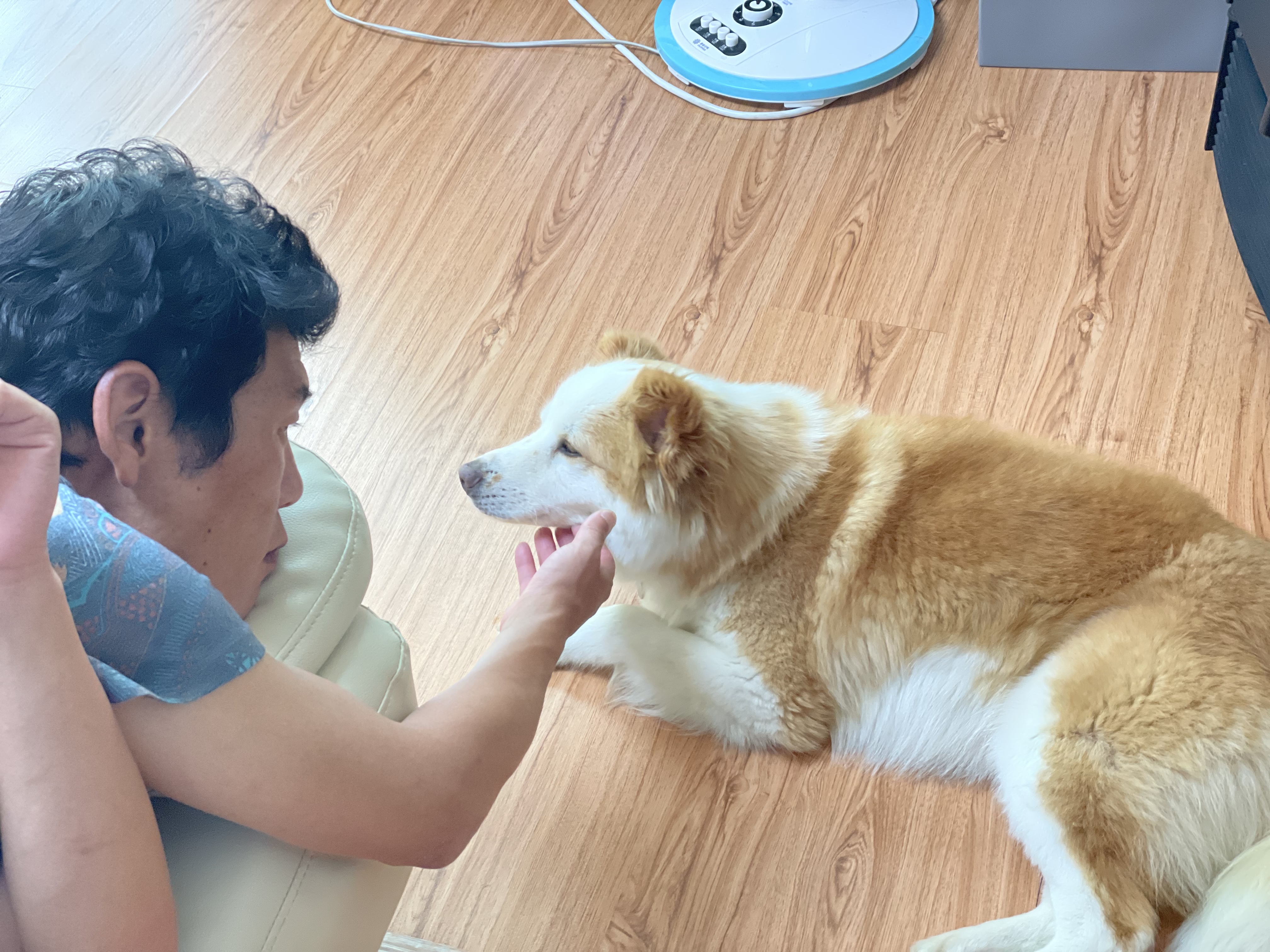 룽지가 온지 일주일이 되었네요