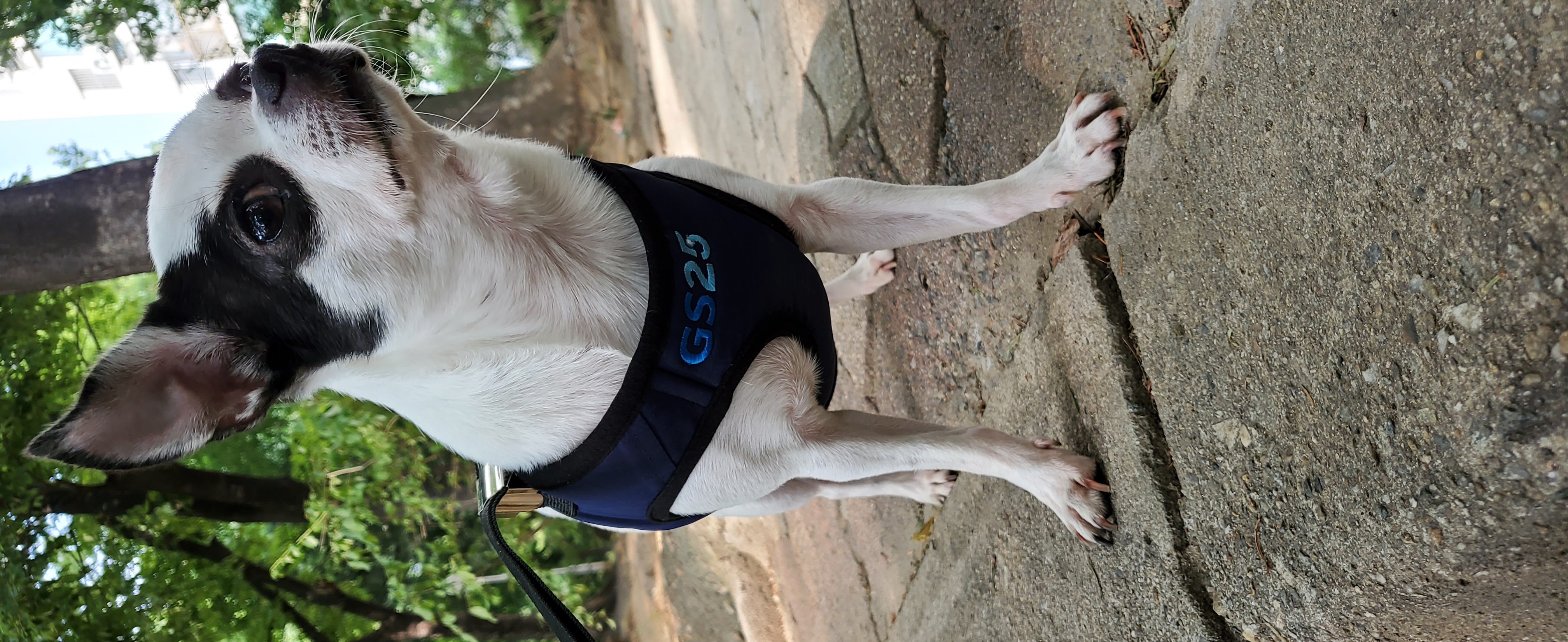 방울이  한달 후 이야기