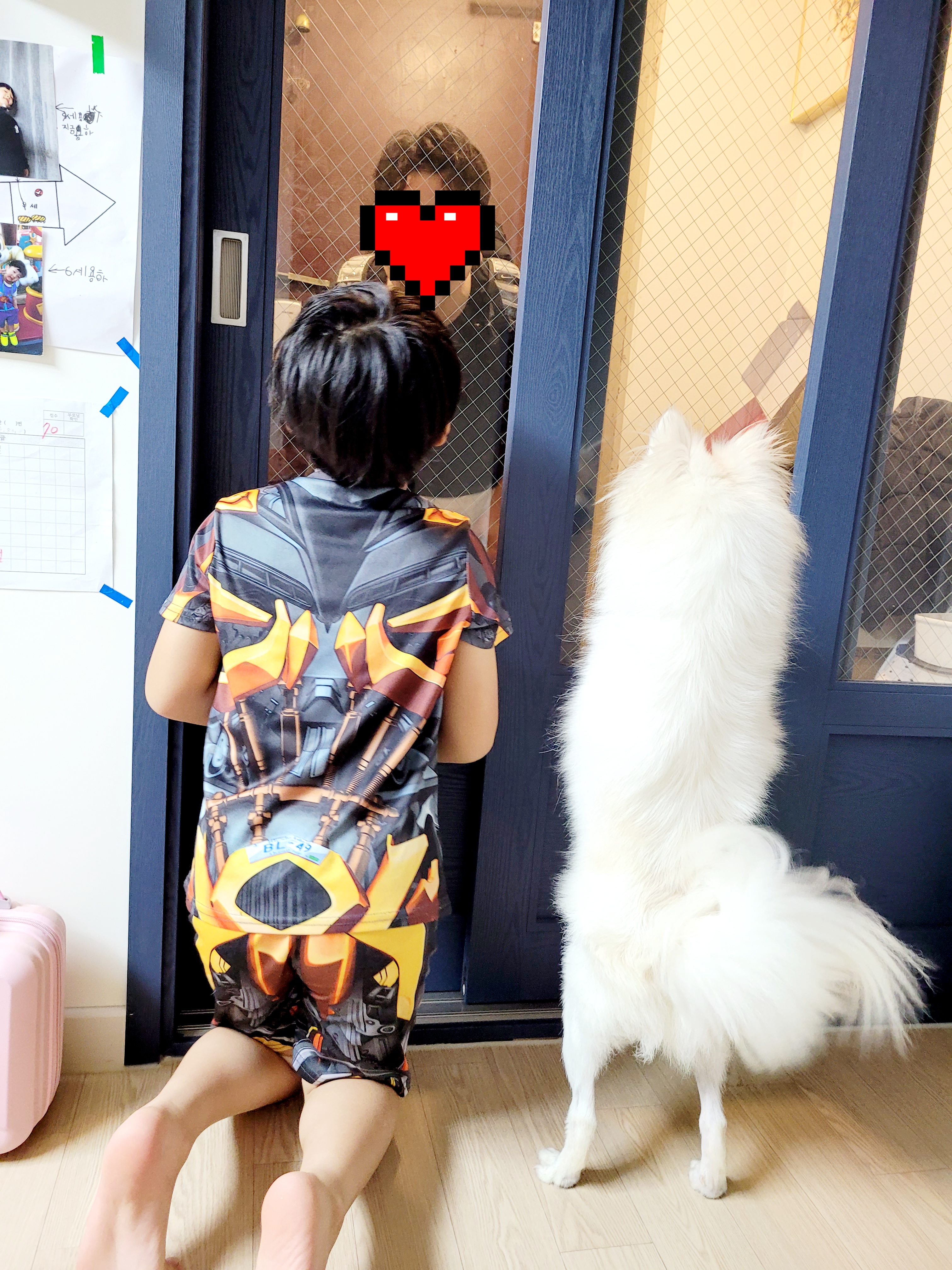 휘핑이 임보 이야기♡