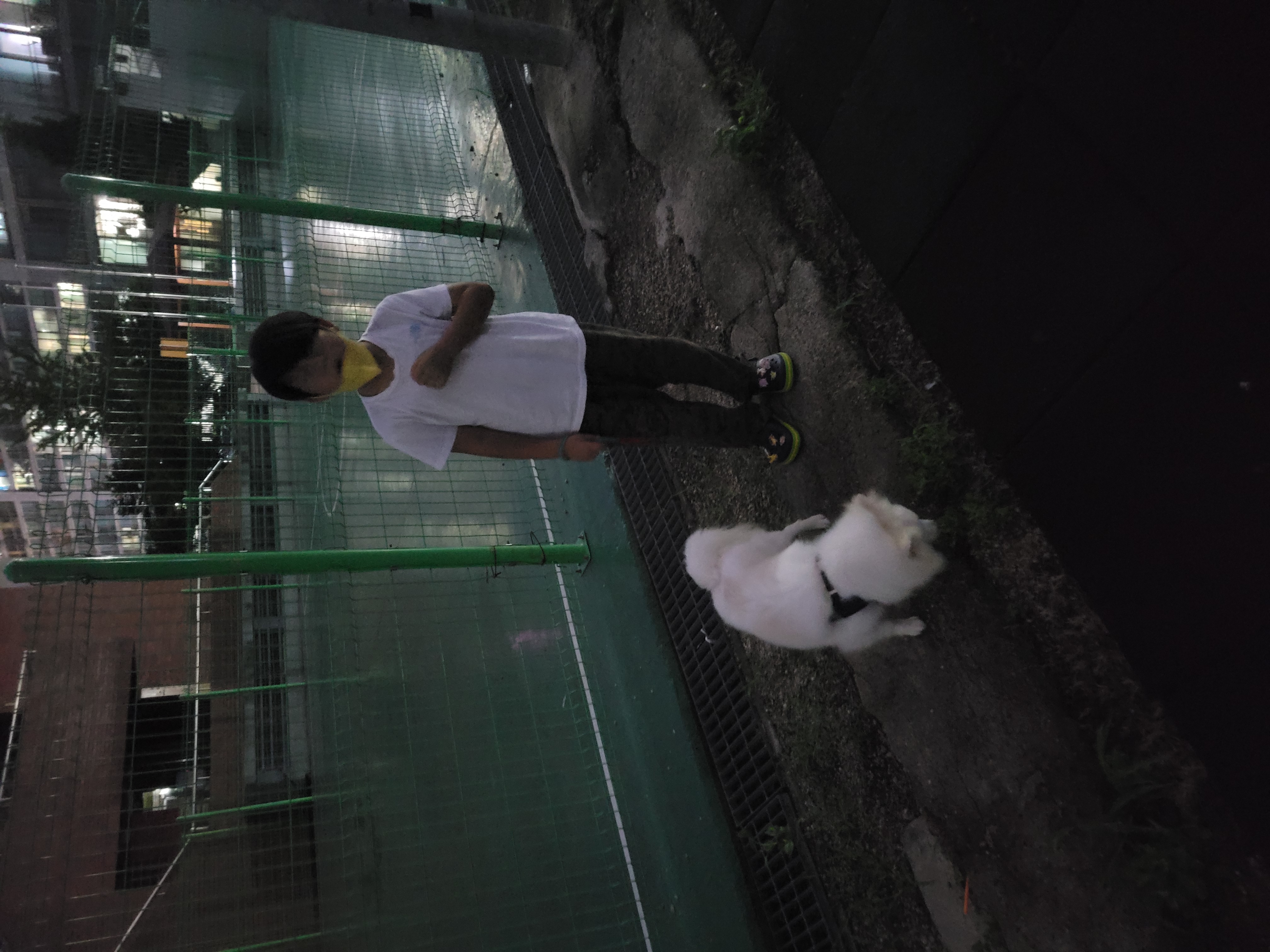 휘핑이 임보 이야기♡