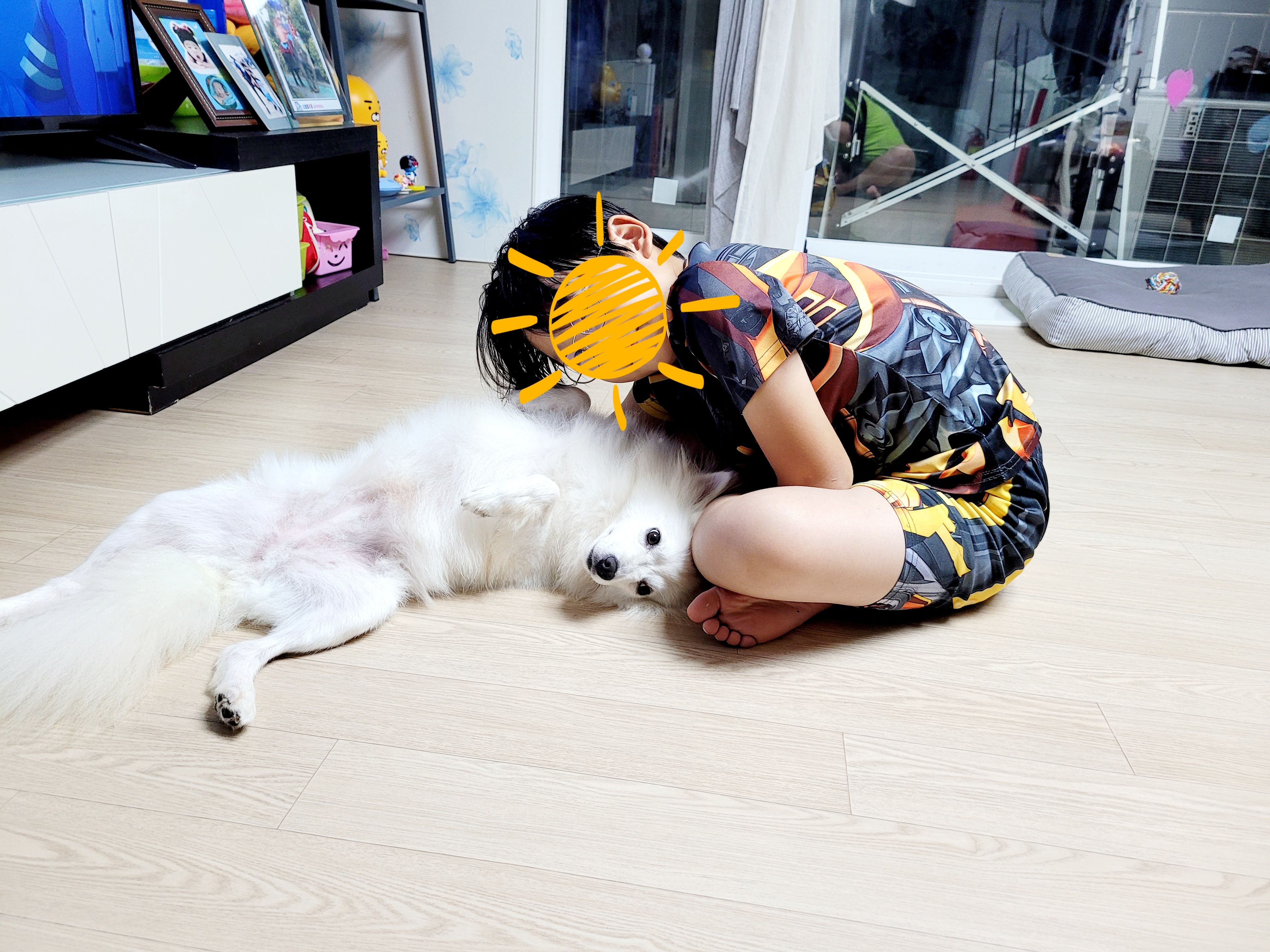 휘핑이 임보 이야기♡