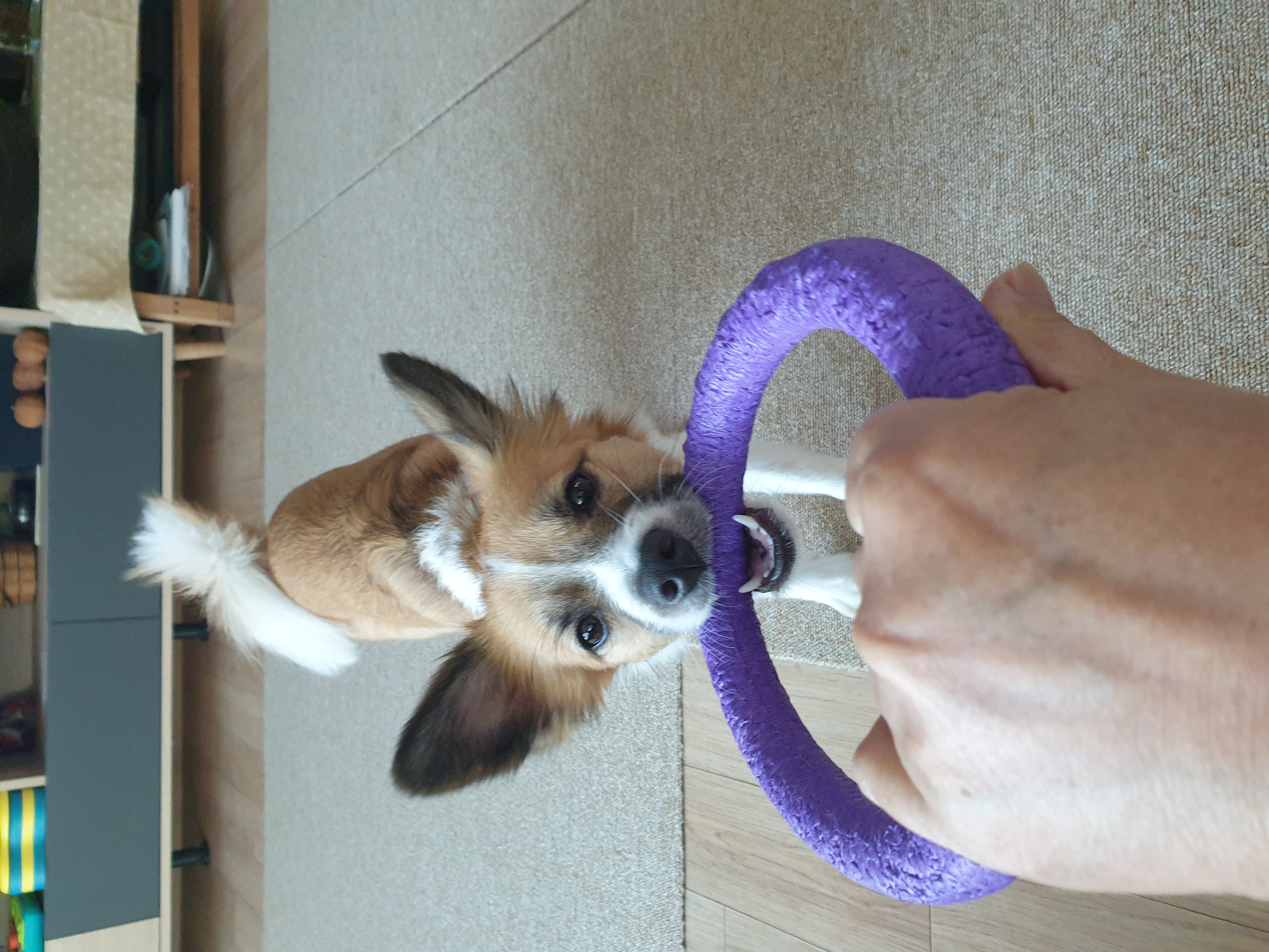 우리 벼리(은오) 1년~.^^