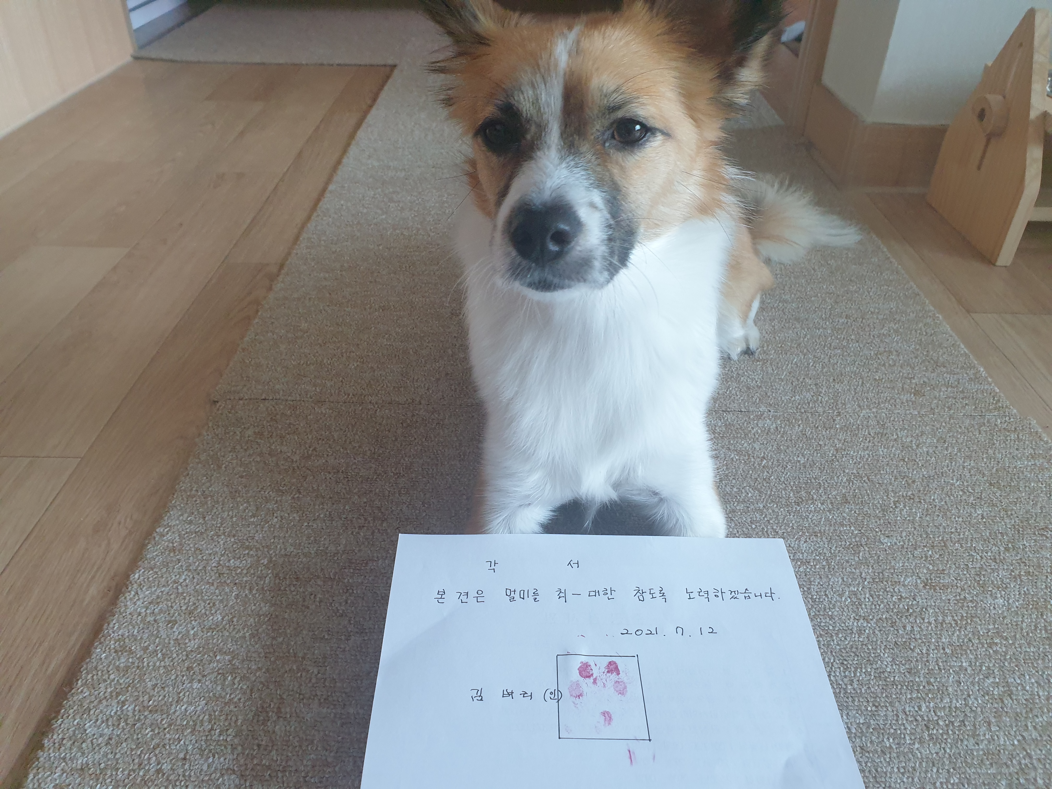 우리 벼리(은오) 1년~.^^