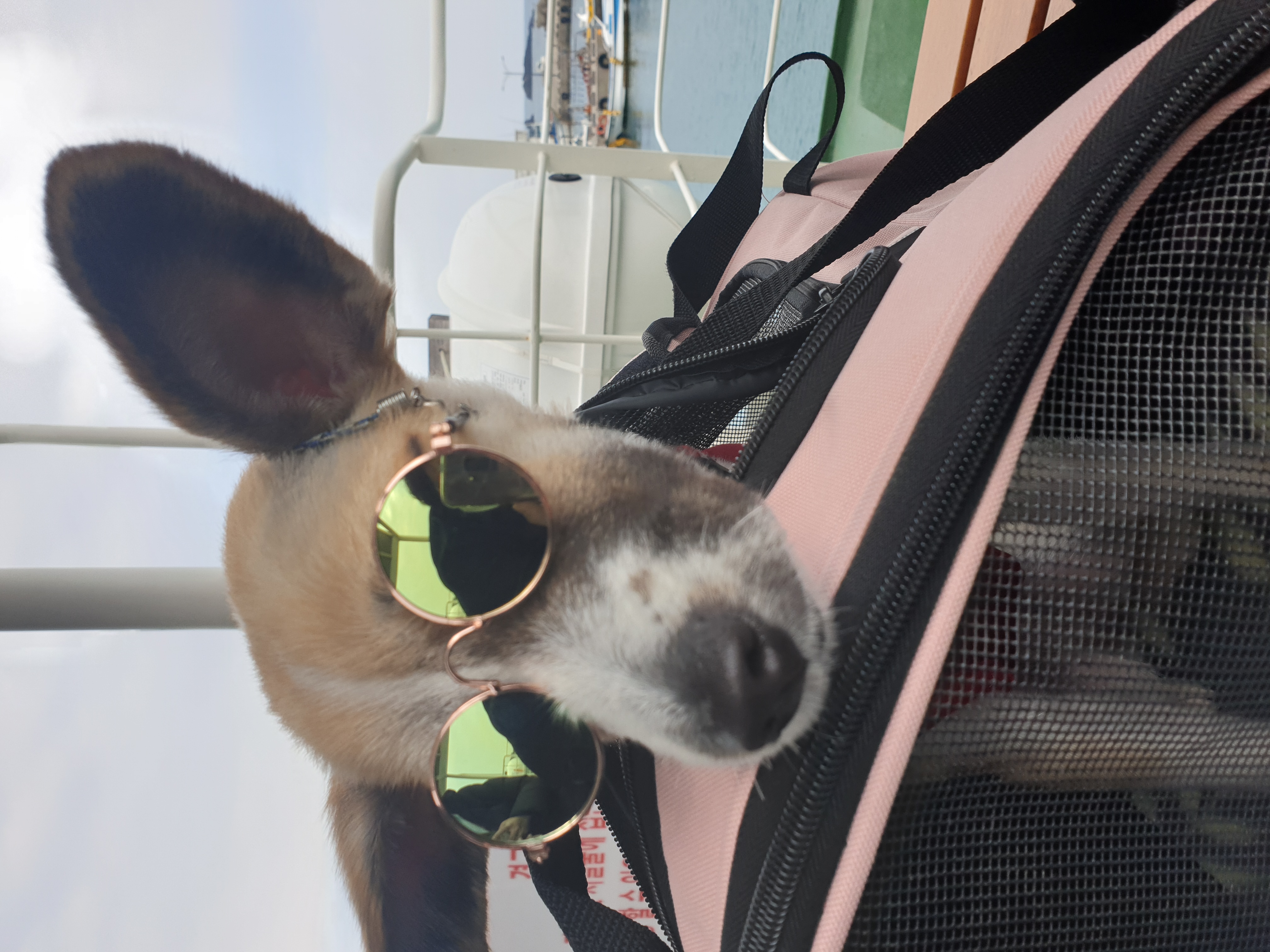 우리 벼리(은오) 1년~.^^