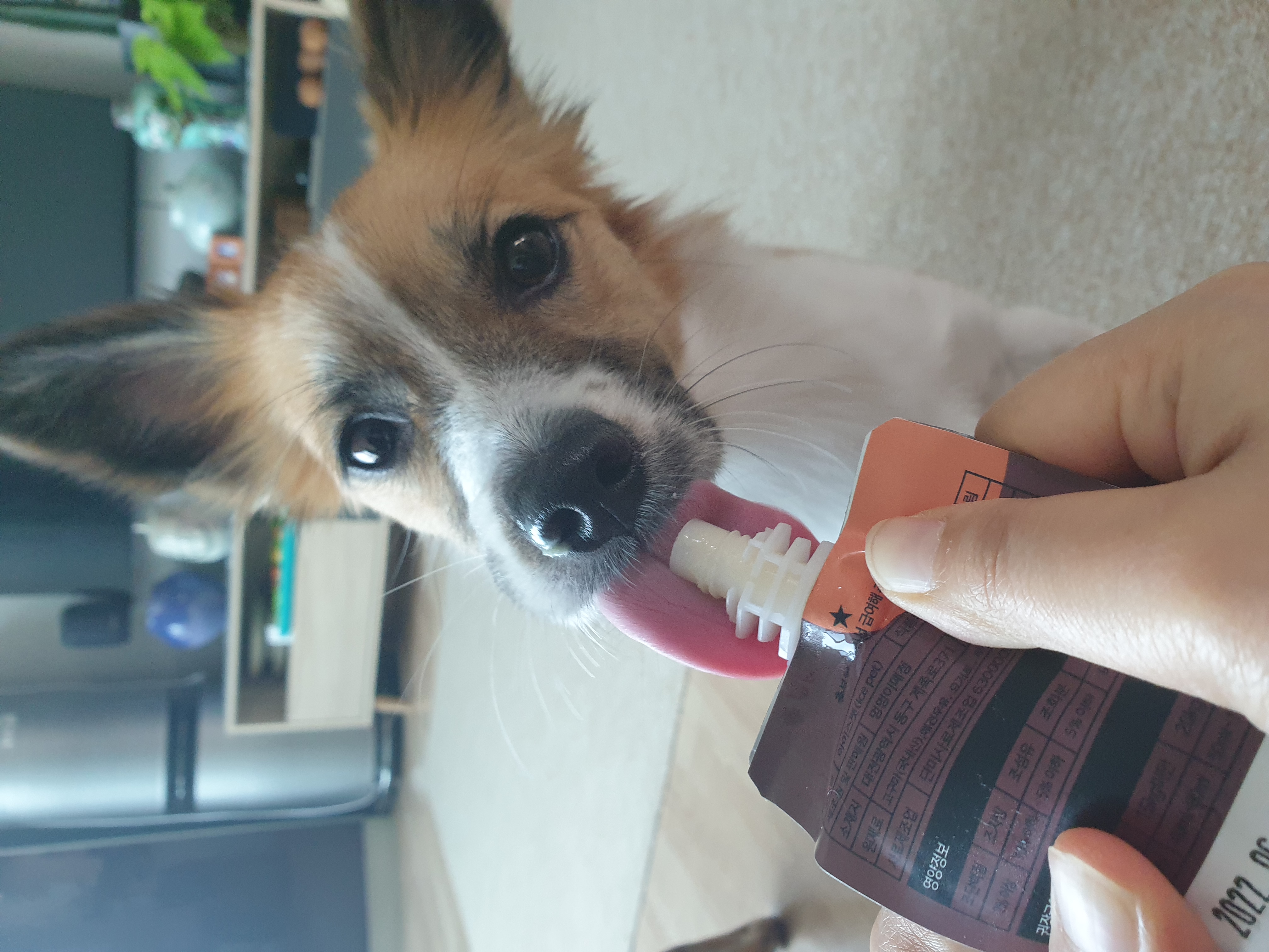 우리 벼리(은오) 1년~.^^