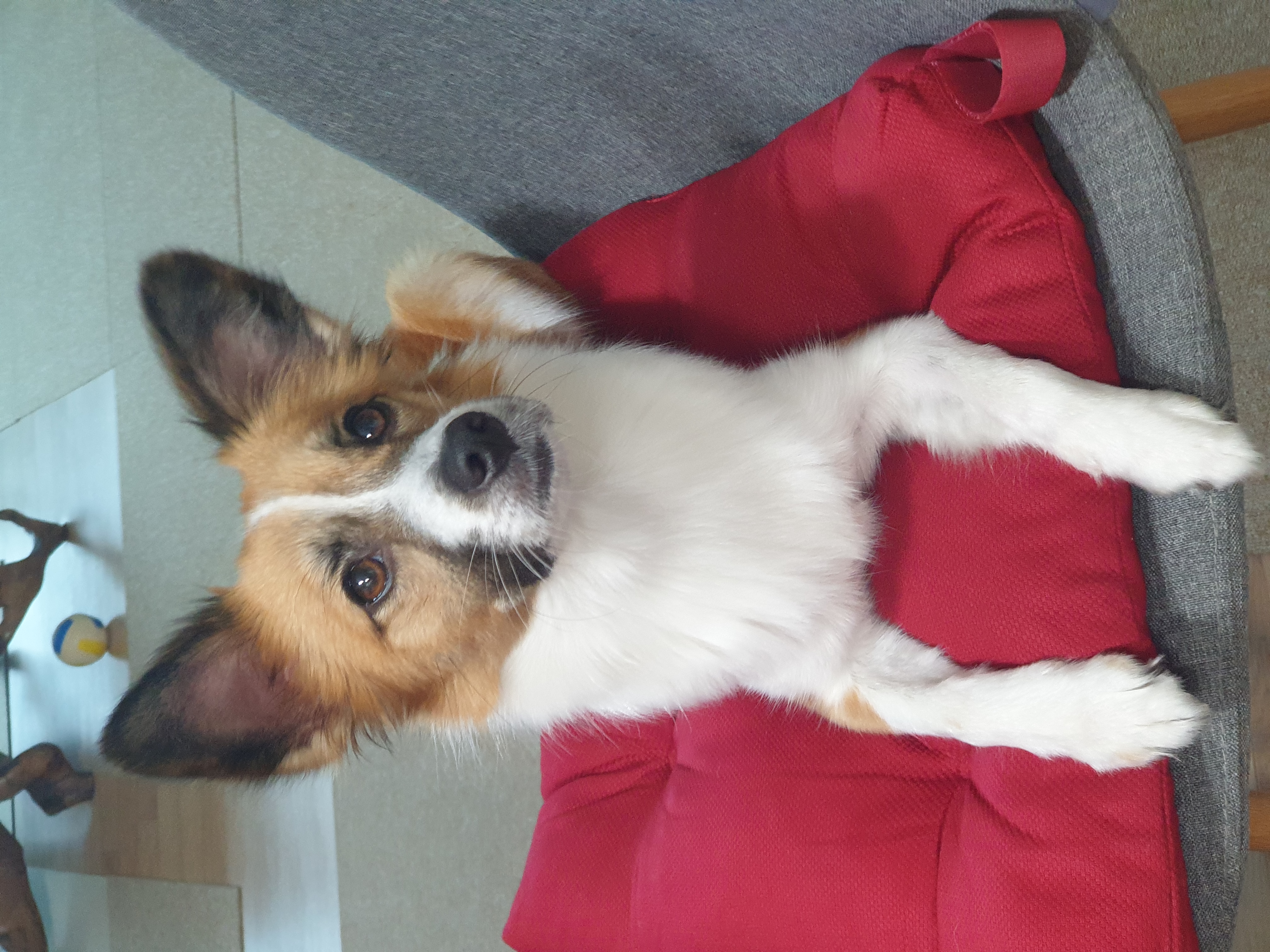 우리 벼리(은오) 1년~.^^