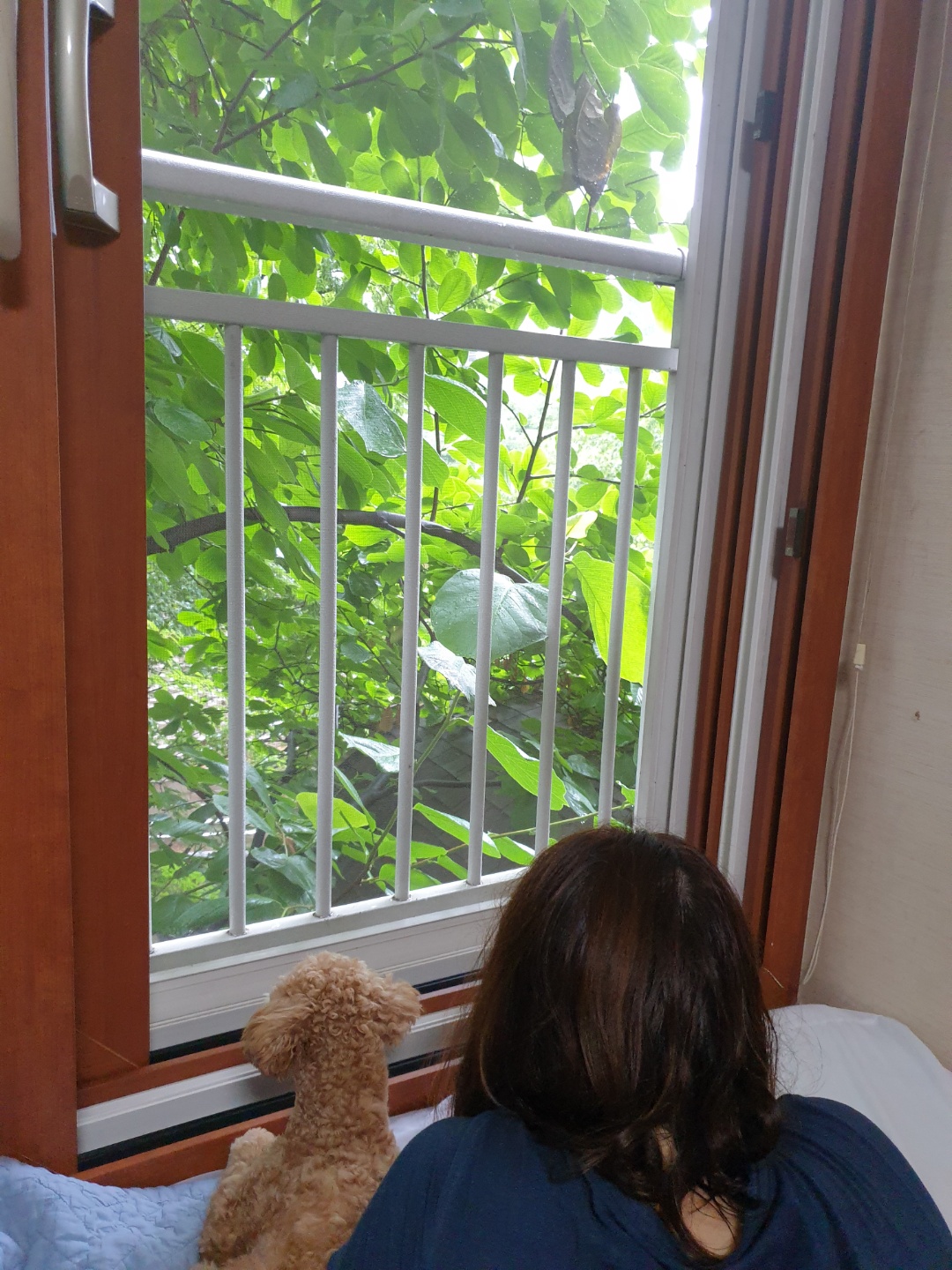 랑이(곤지암 해사) 6개월차