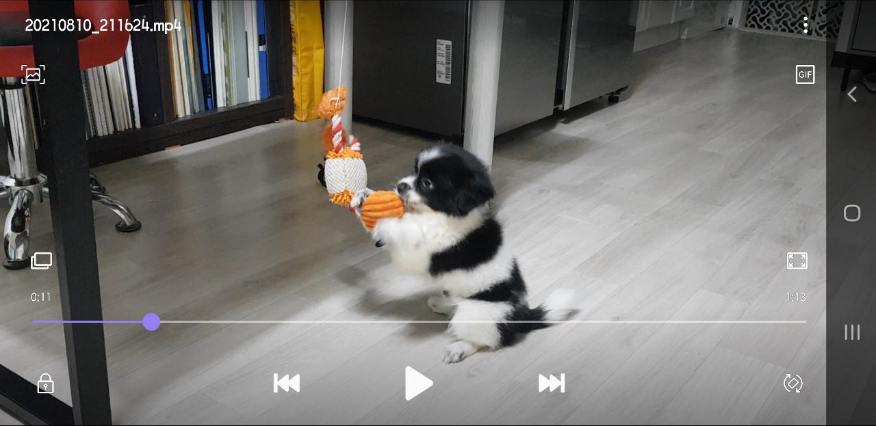 똥꼬발랄 자이의 가족된지 7일째