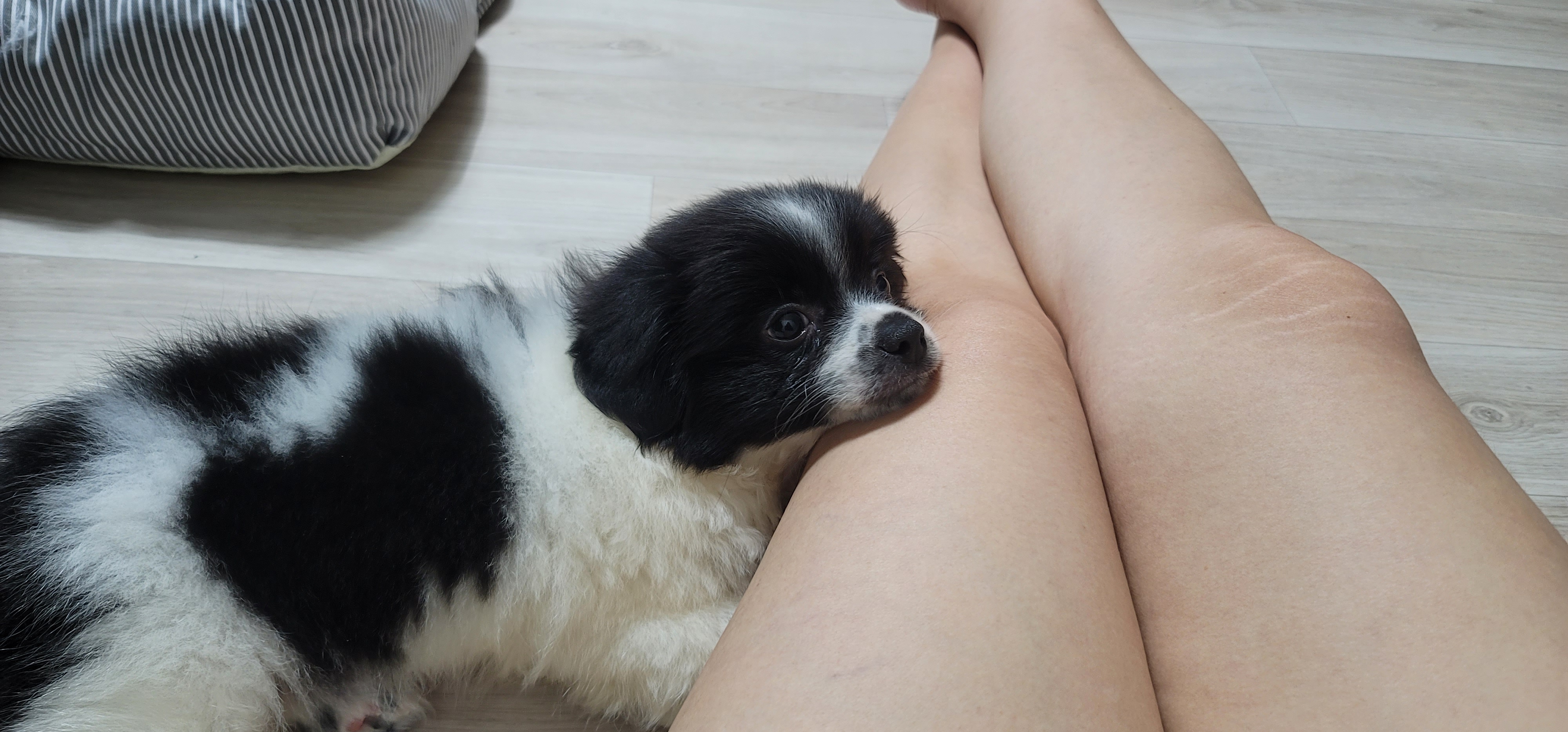 똥꼬발랄 자이의 가족된지 7일째