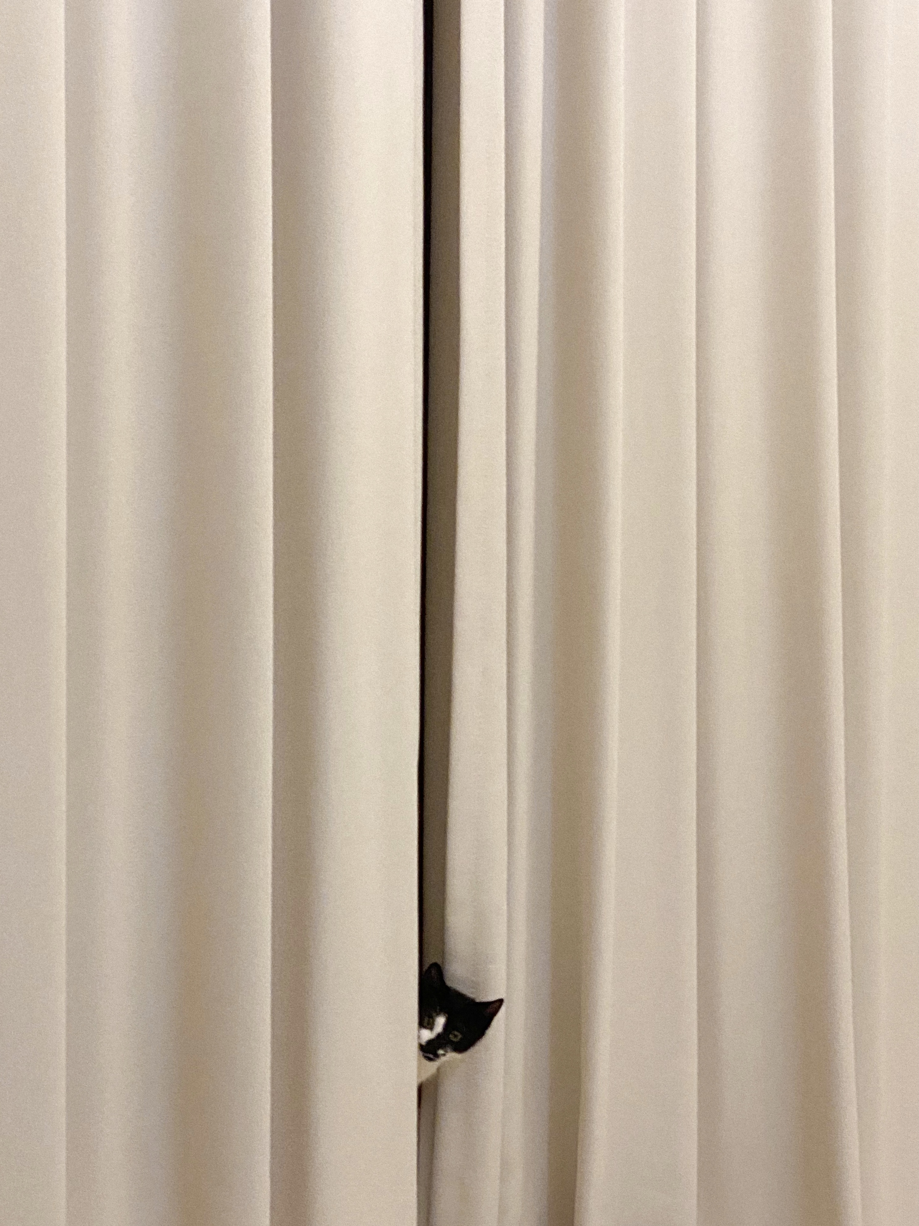 레오(라운이) 1개월 근황입니다 :)