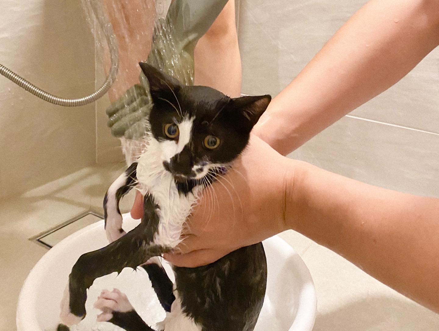 레오(라운이) 1개월 근황입니다 :)