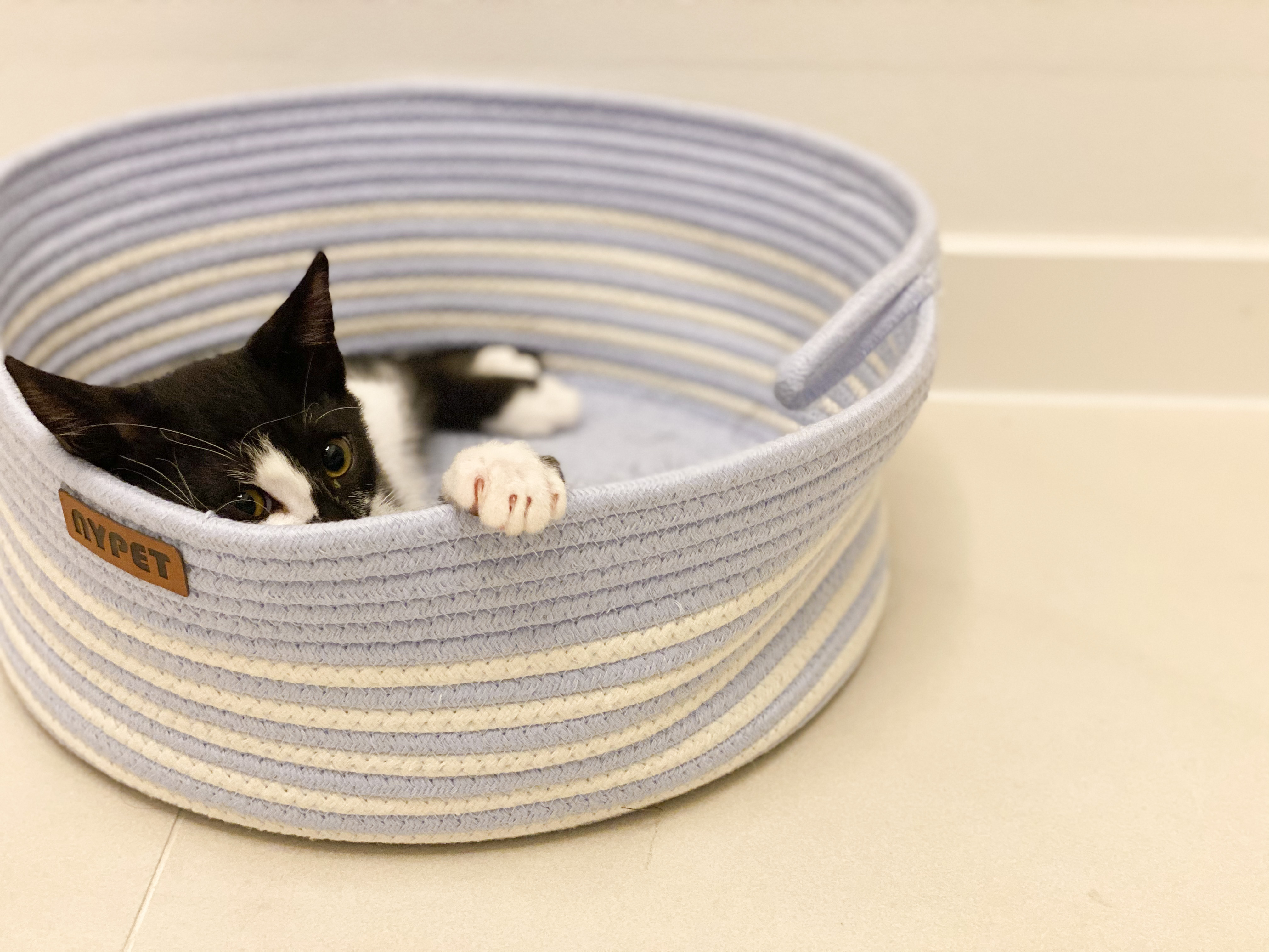 레오(라운이) 1개월 근황입니다 :)