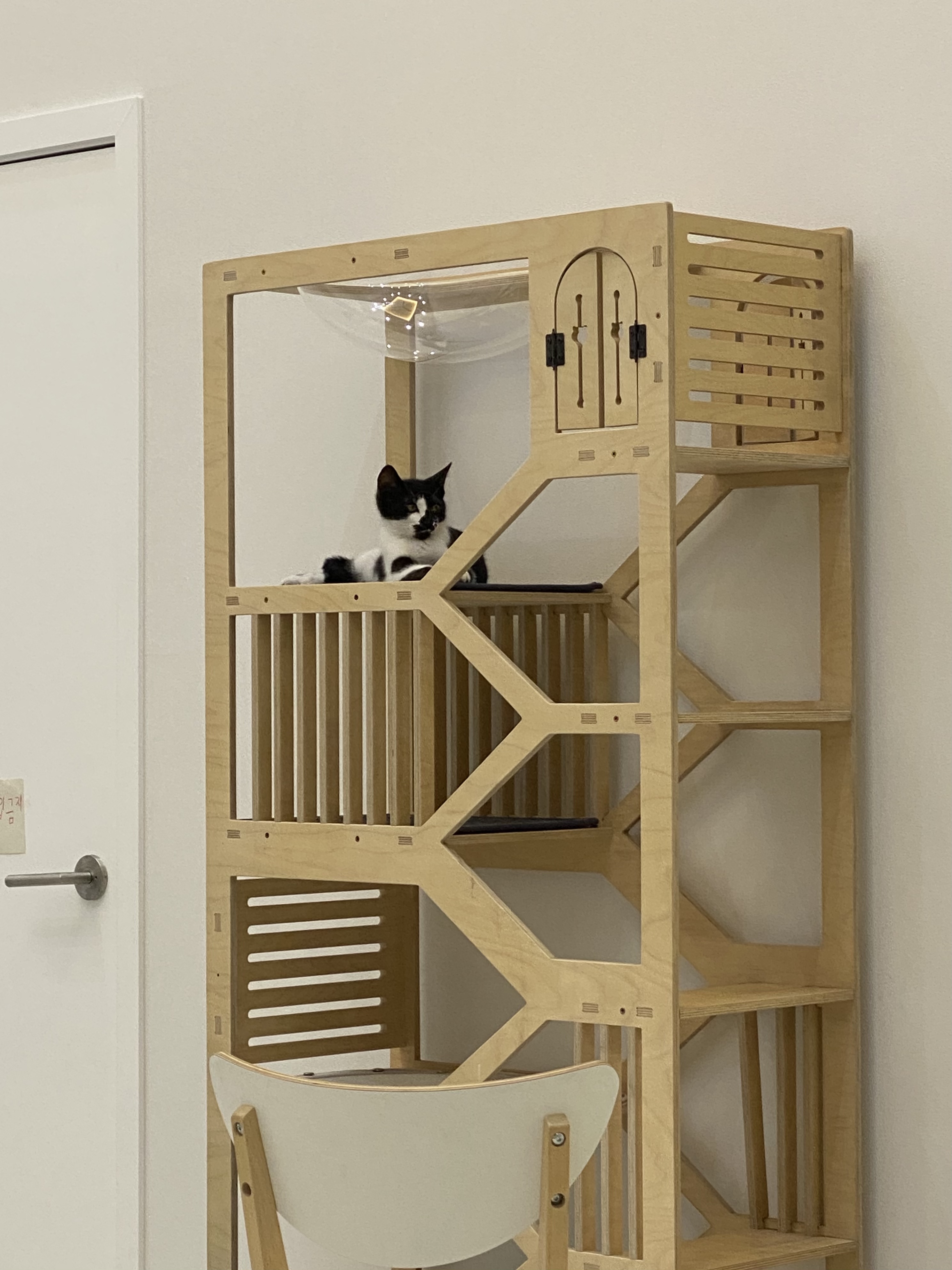 레오(라운이) 1개월 근황입니다 :)