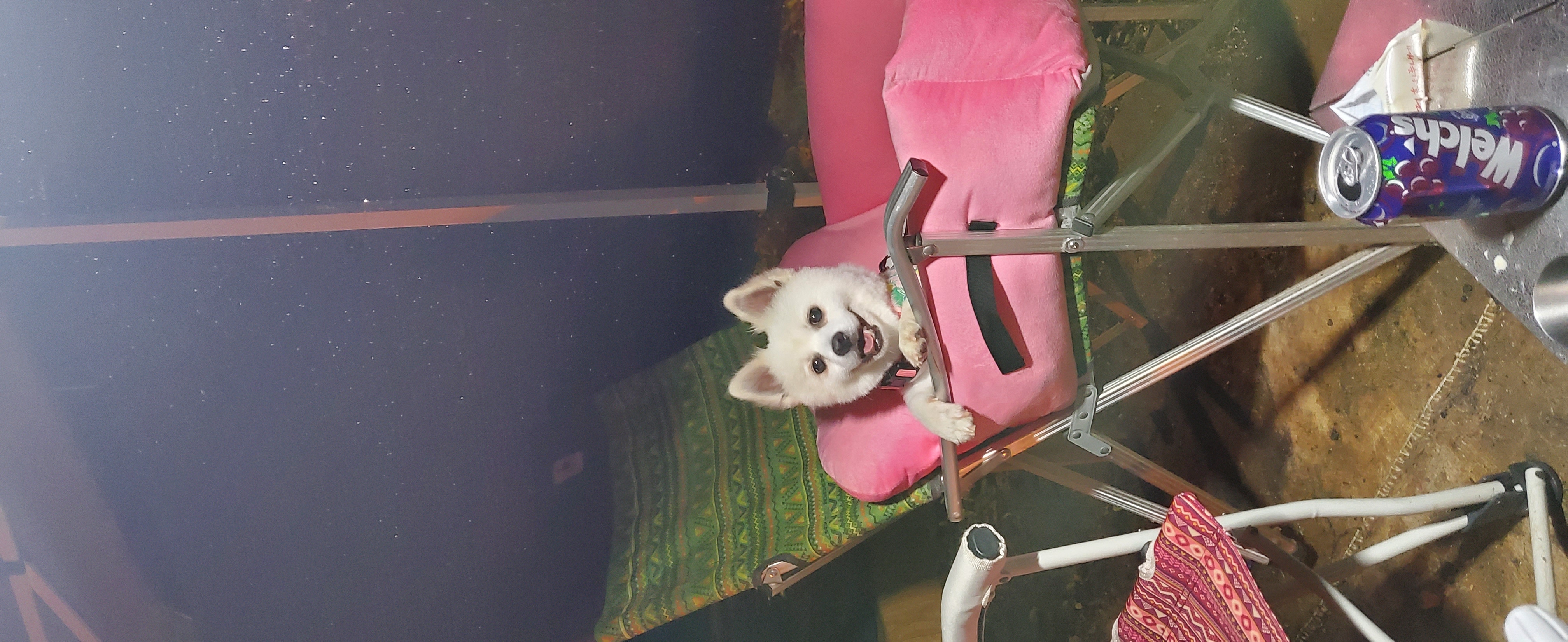 곤지암 달밤이 벌써 1달이넘었어요~~