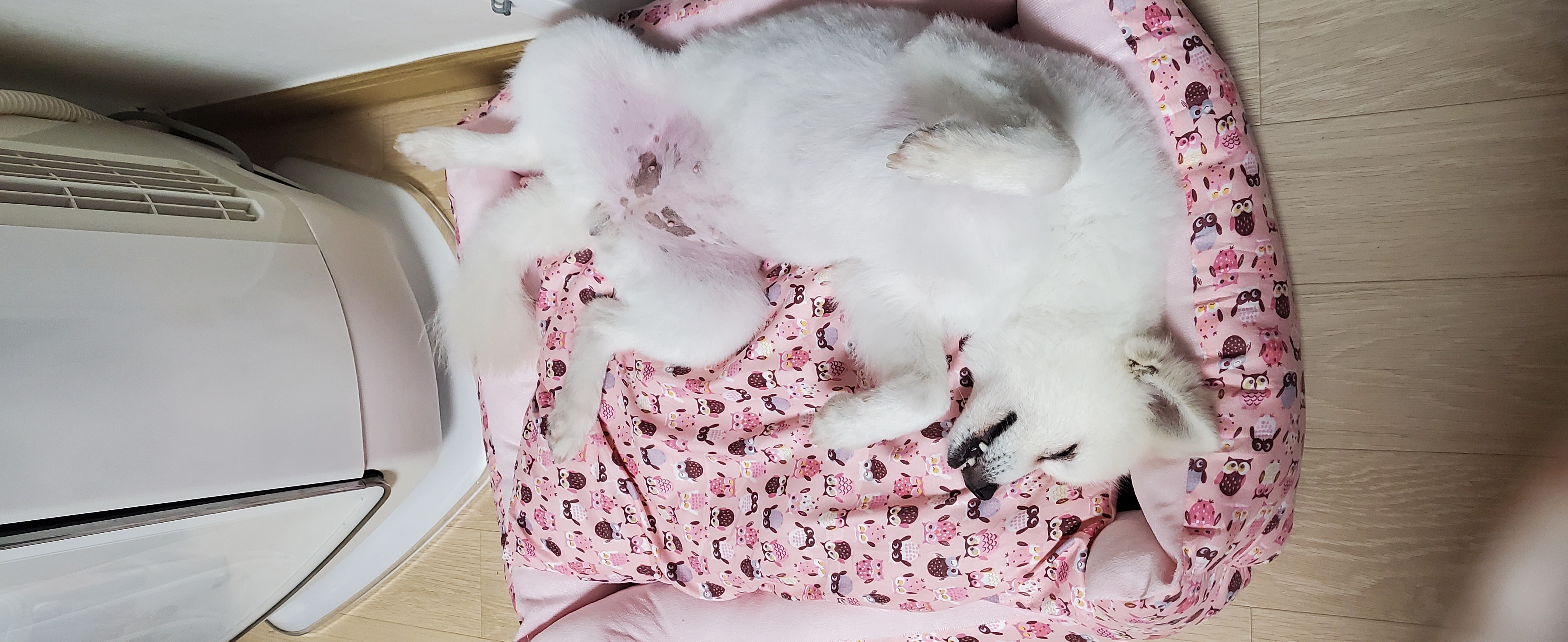 곤지암 달밤이 벌써 1달이넘었어요~~