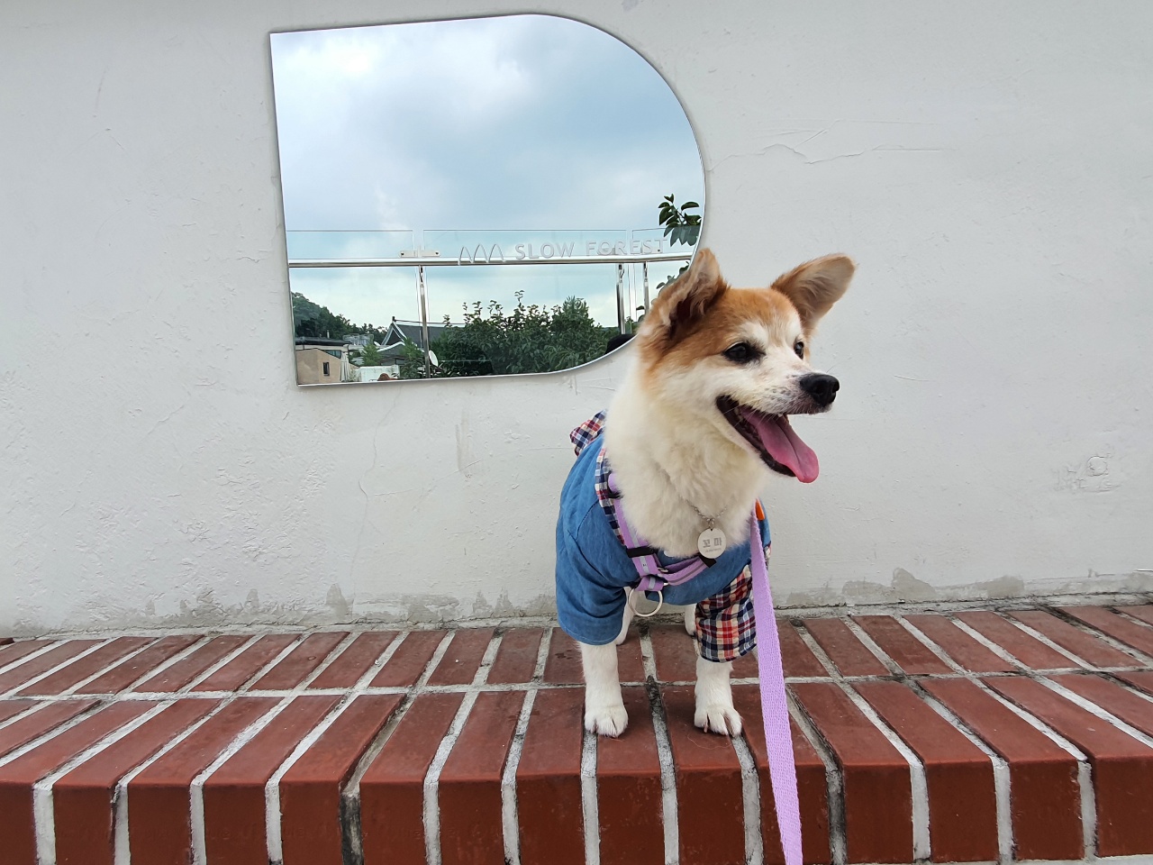 꼬마와 함께한지 벌써 한 달이 지났어요~