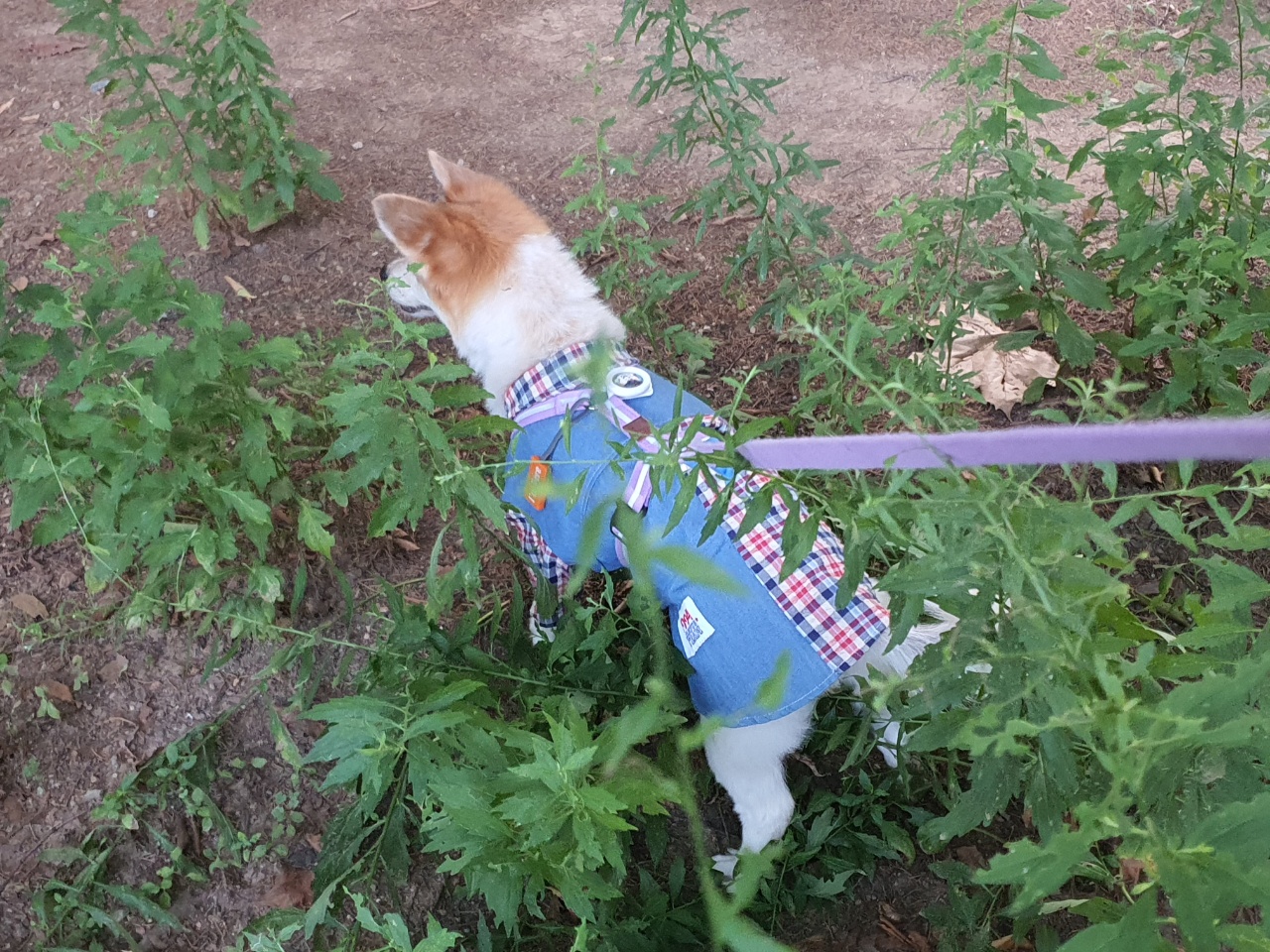 꼬마와 함께한지 벌써 한 달이 지났어요~