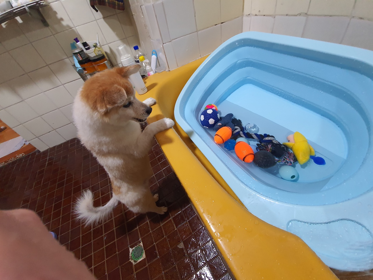 꼬마와 함께한지 벌써 한 달이 지났어요~