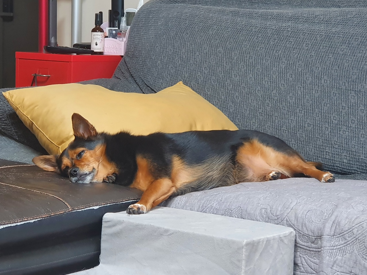 가인이 너무 오랜만에 왔네요^^;;