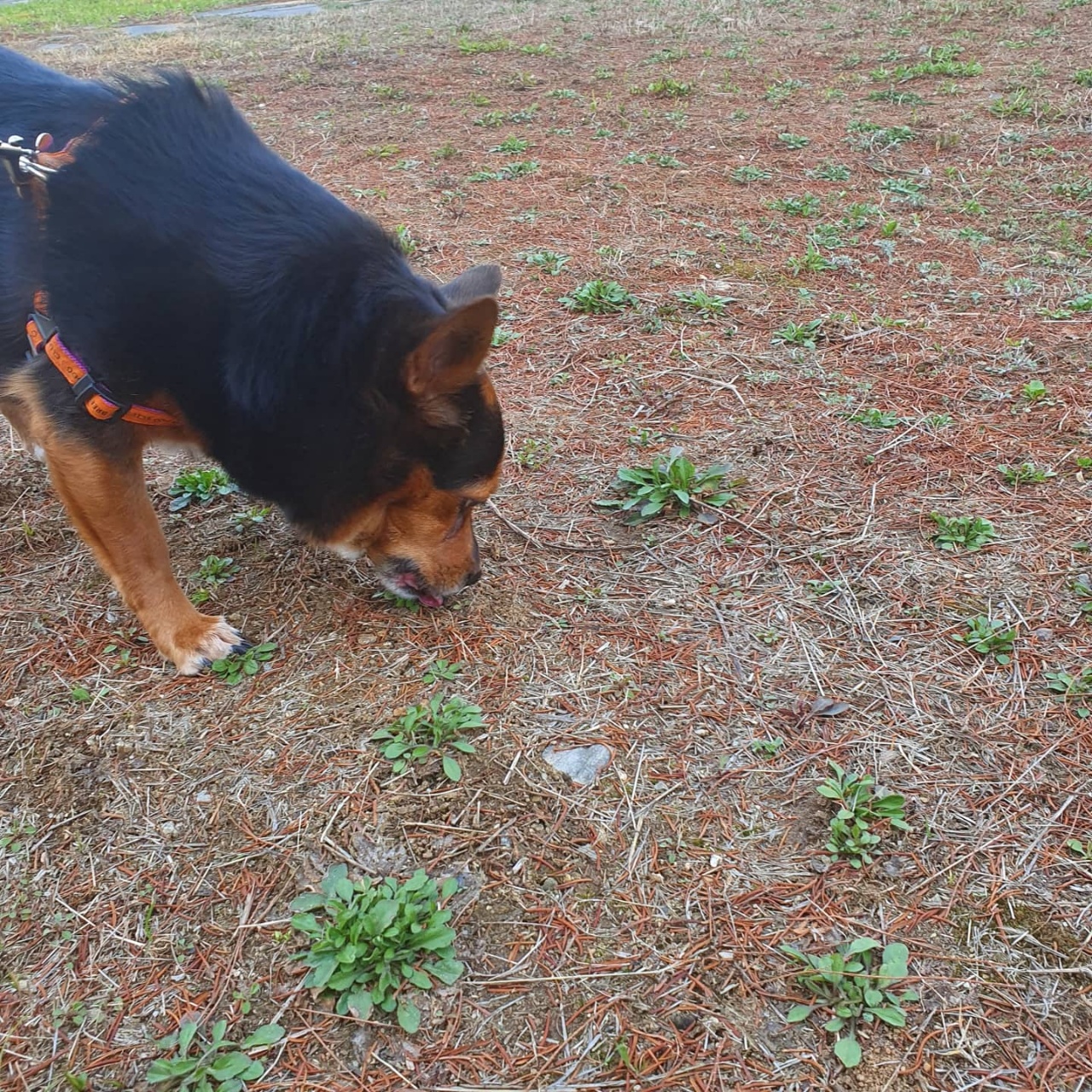 가인이 너무 오랜만에 왔네요^^;;