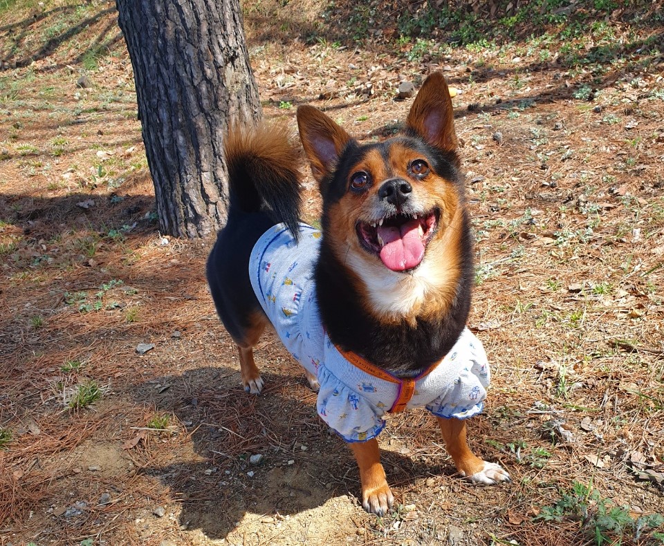 가인이 너무 오랜만에 왔네요^^;;