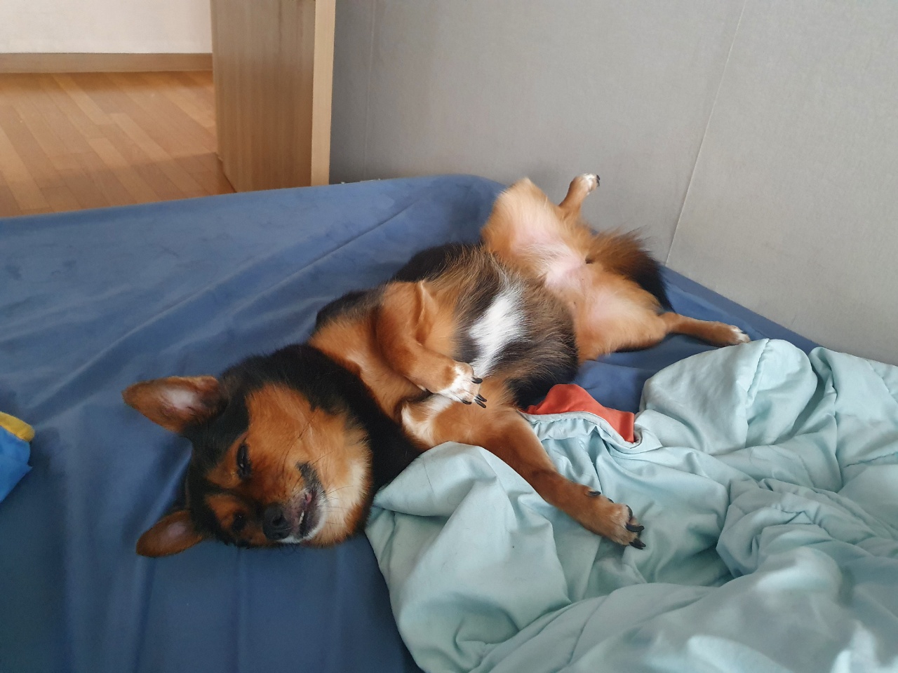 가인이 너무 오랜만에 왔네요^^;;