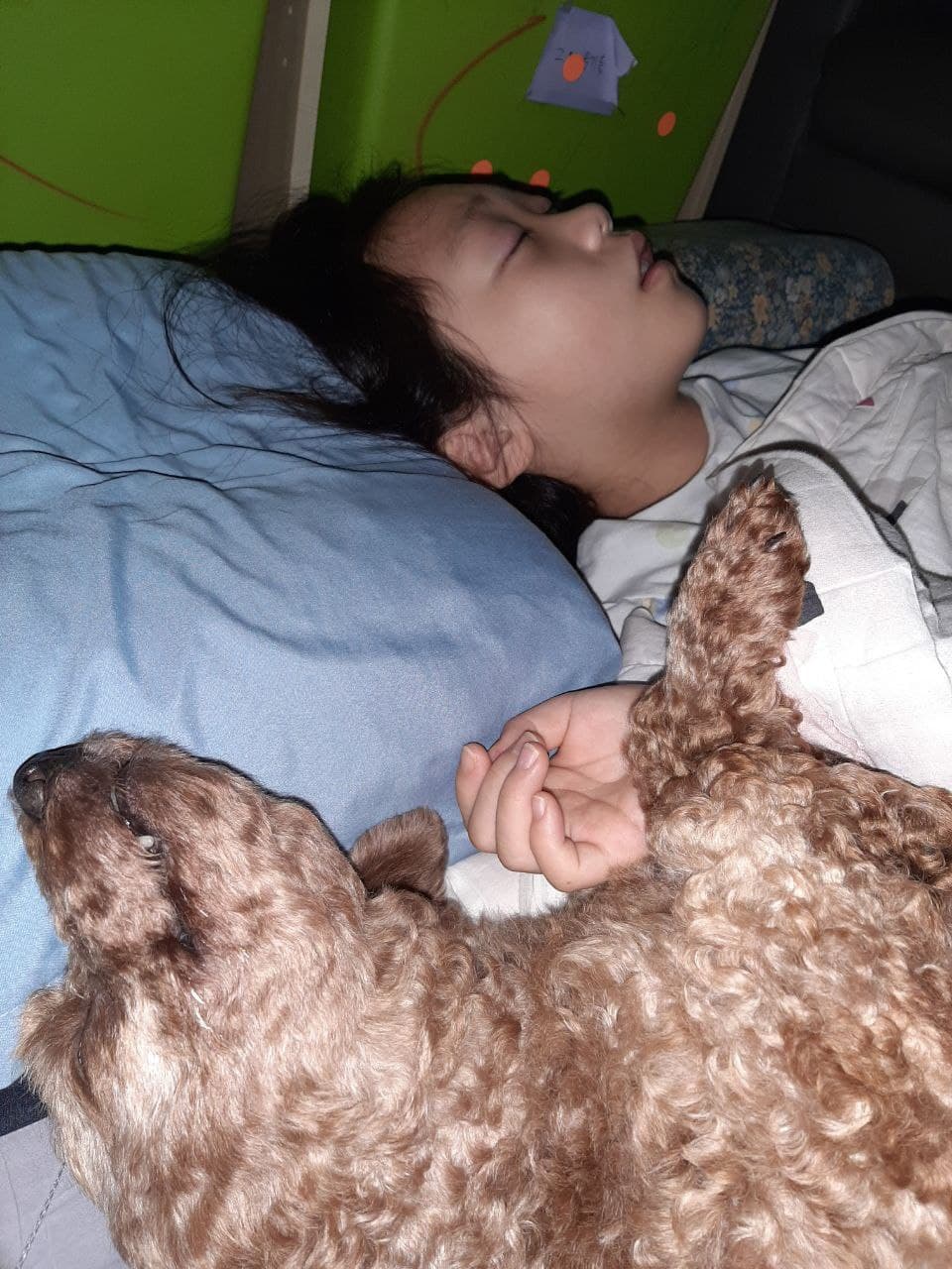 코리(곤지암)와 지낸 지 한달