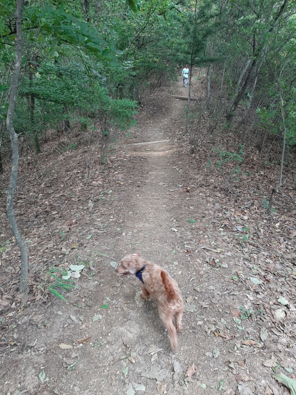 코리(곤지암)와 지낸 지 한달