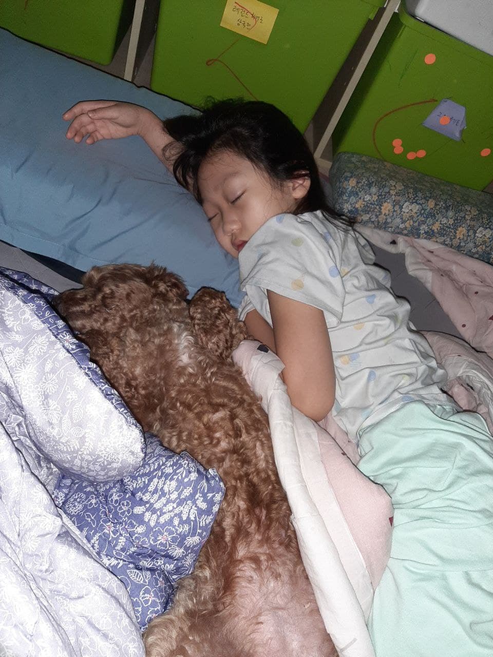 코리(곤지암)와 지낸 지 한달