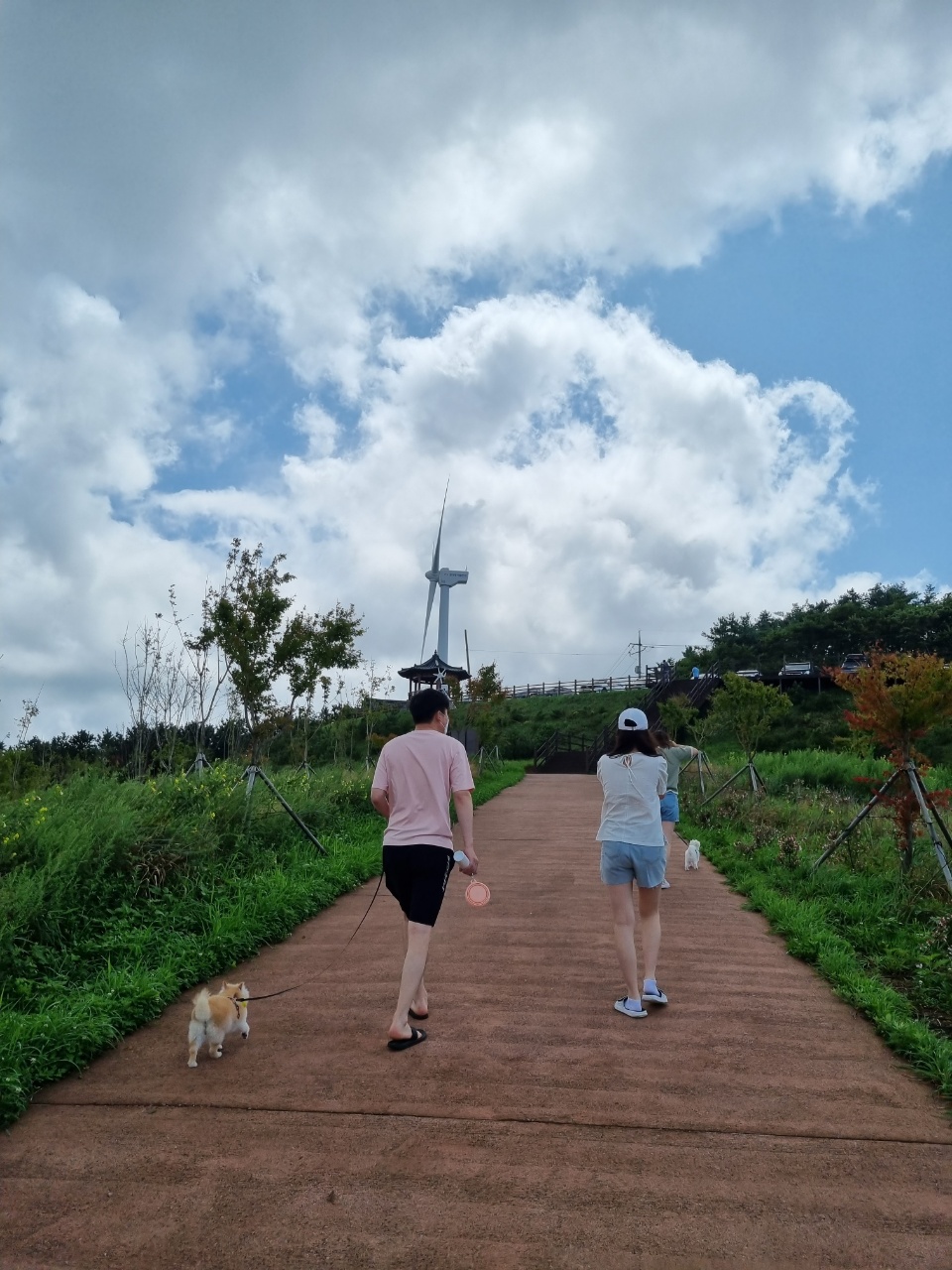 육곤이 입양 3개월~ 이렇게 지내고 있어요~