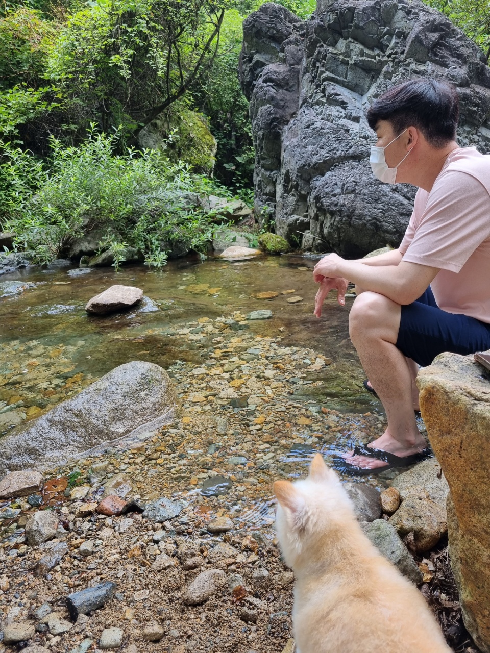 육곤이 입양 3개월~ 이렇게 지내고 있어요~