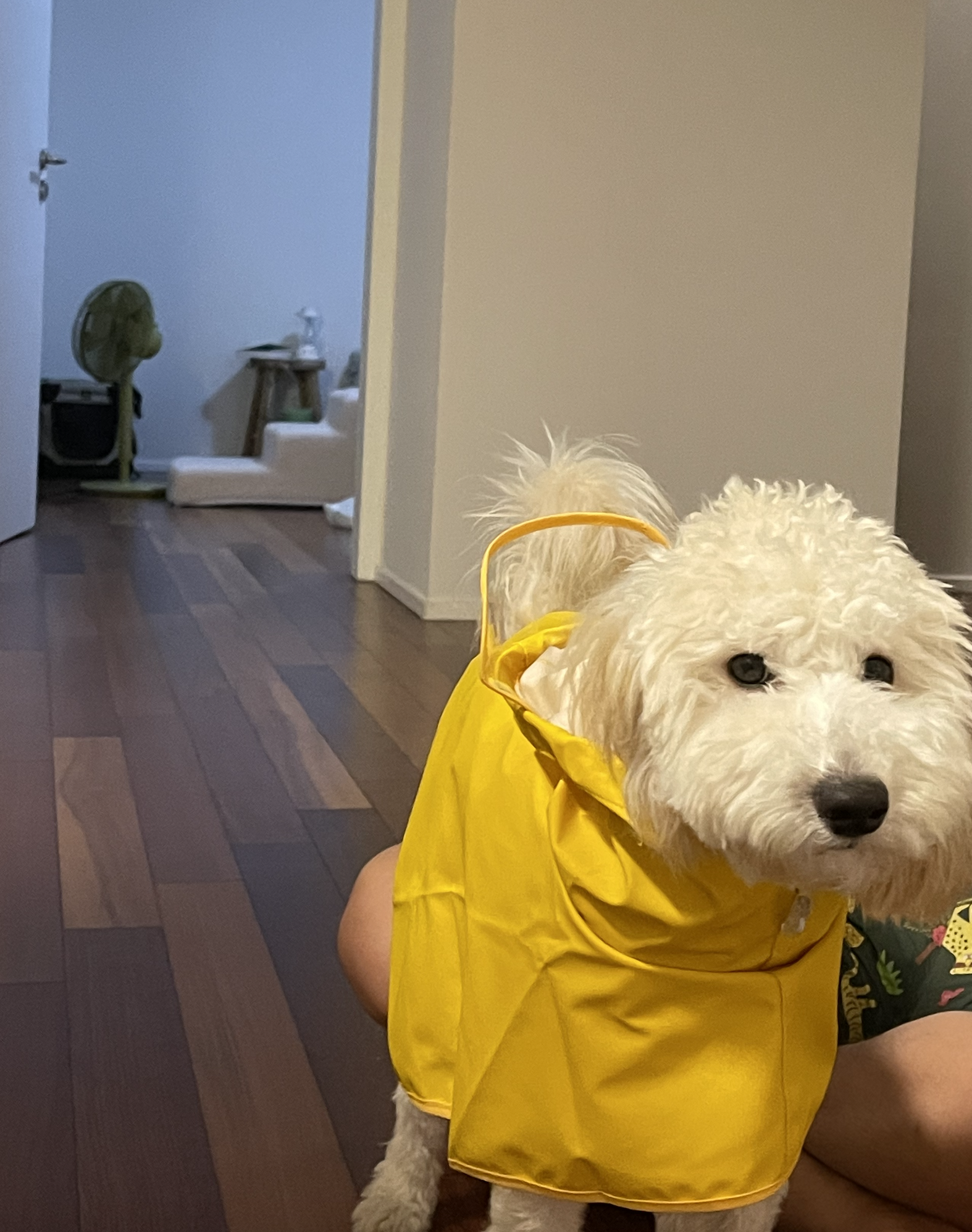 잼이(곤지암) 6개월 이야기입니다! 