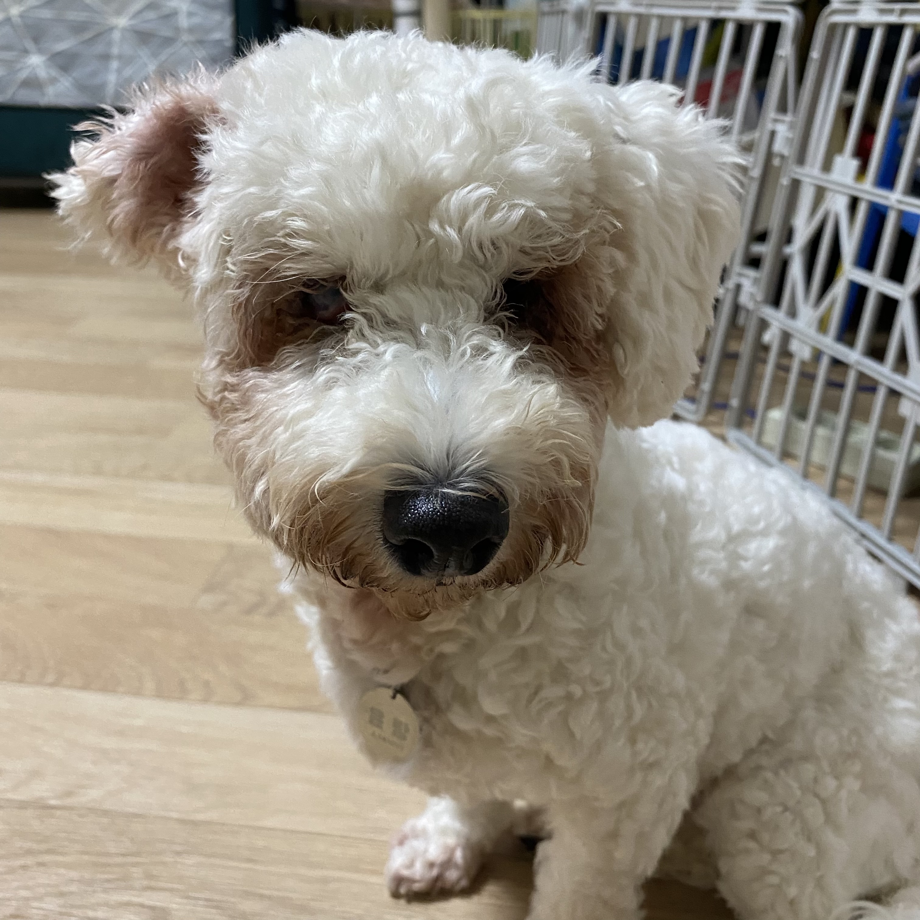 윤랑한 일기(쟈스민)