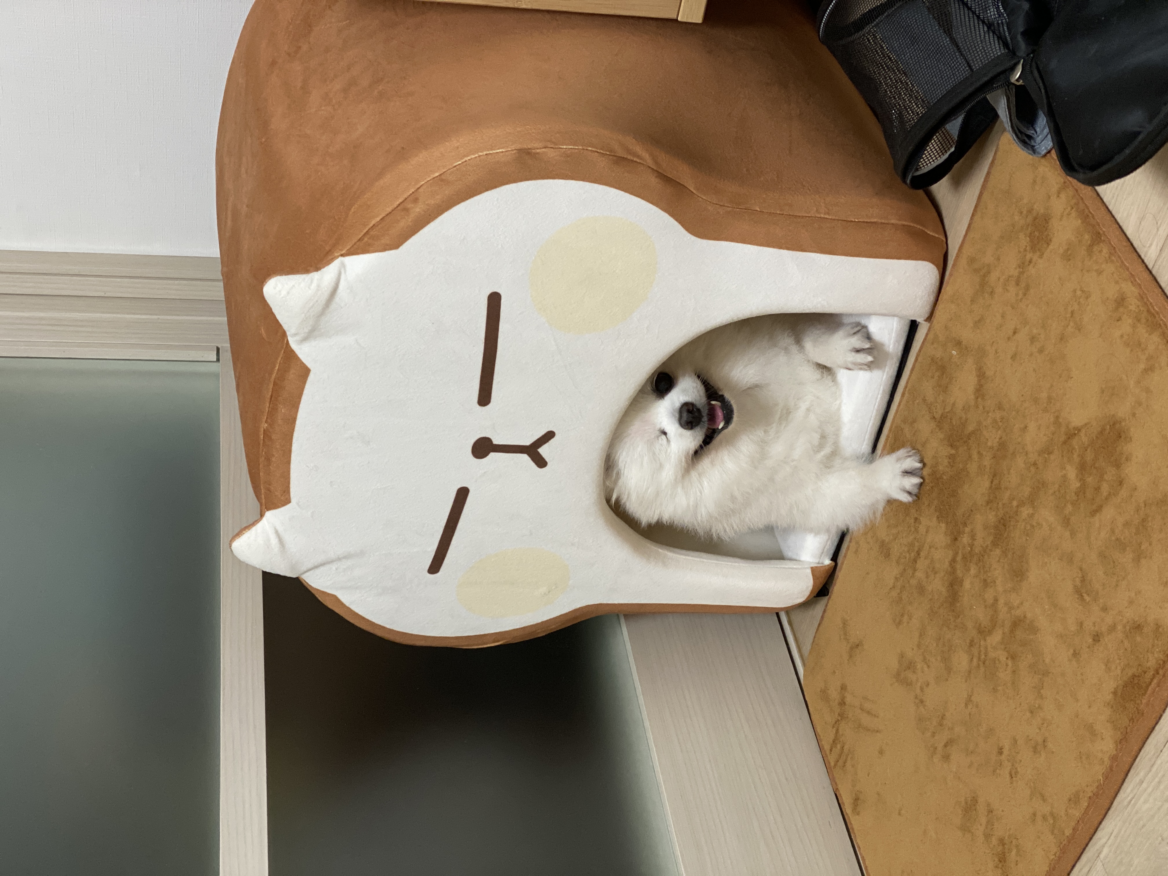 내겐 너무 완벽한 그녀, 그림이의 입양 후 3개월