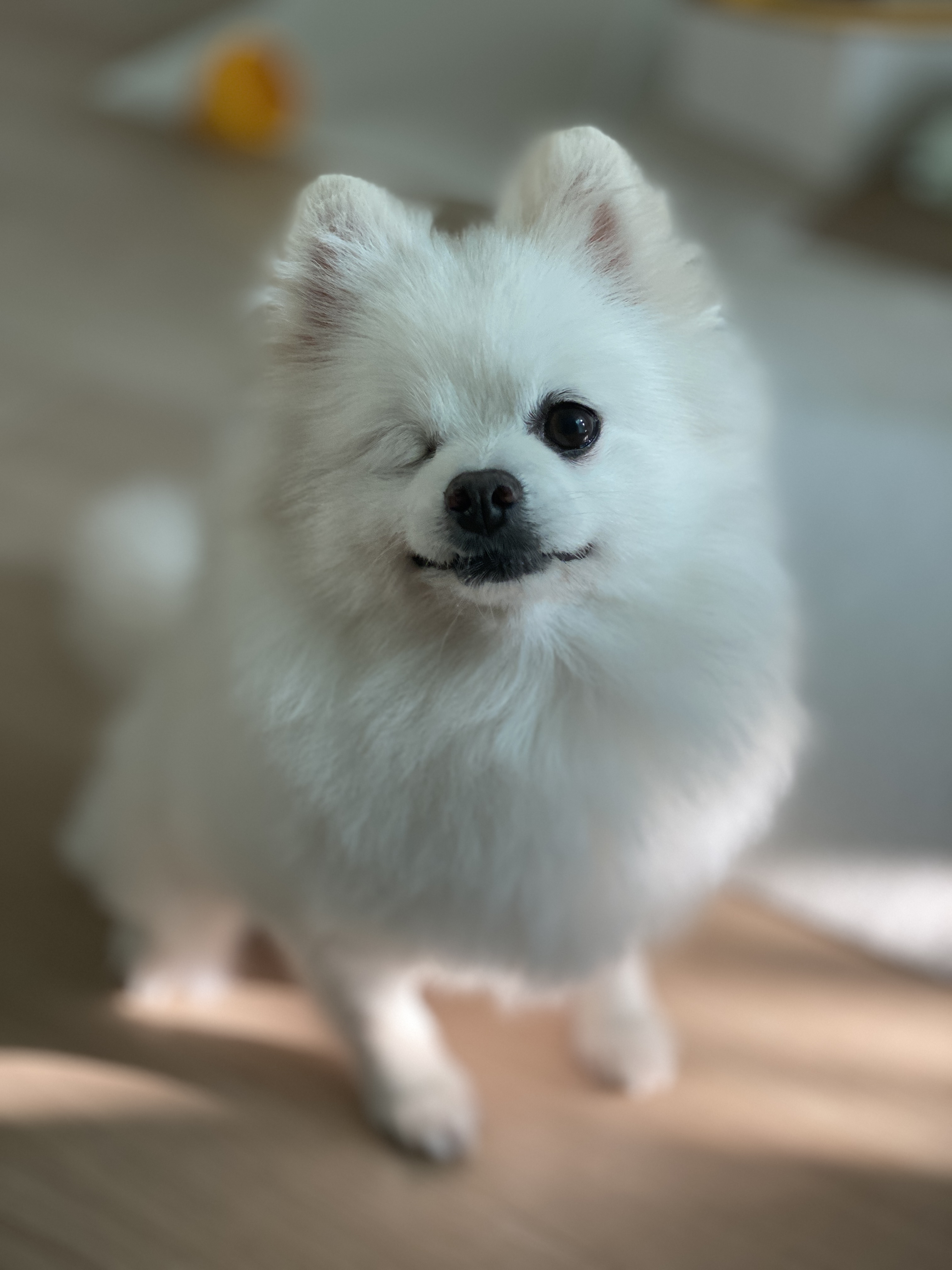 내겐 너무 완벽한 그녀, 그림이의 입양 후 3개월