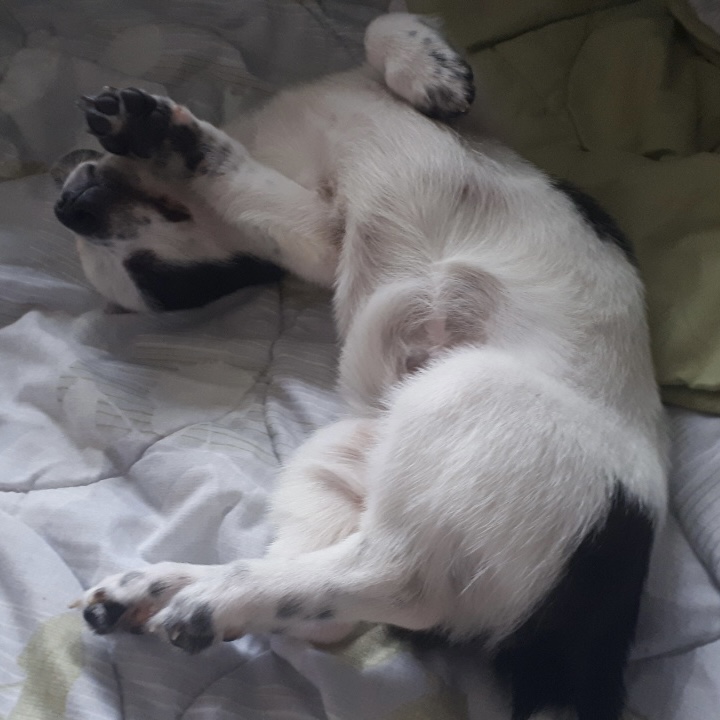 마원 마투 입양 후 일주일