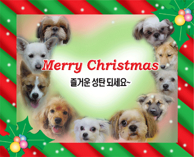 우헤헤~~~ 여러분들도 Merry Christmas~!!