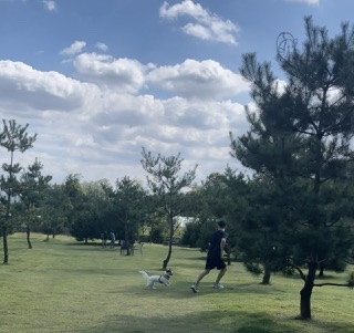 마네 입양 일년이 됬어요