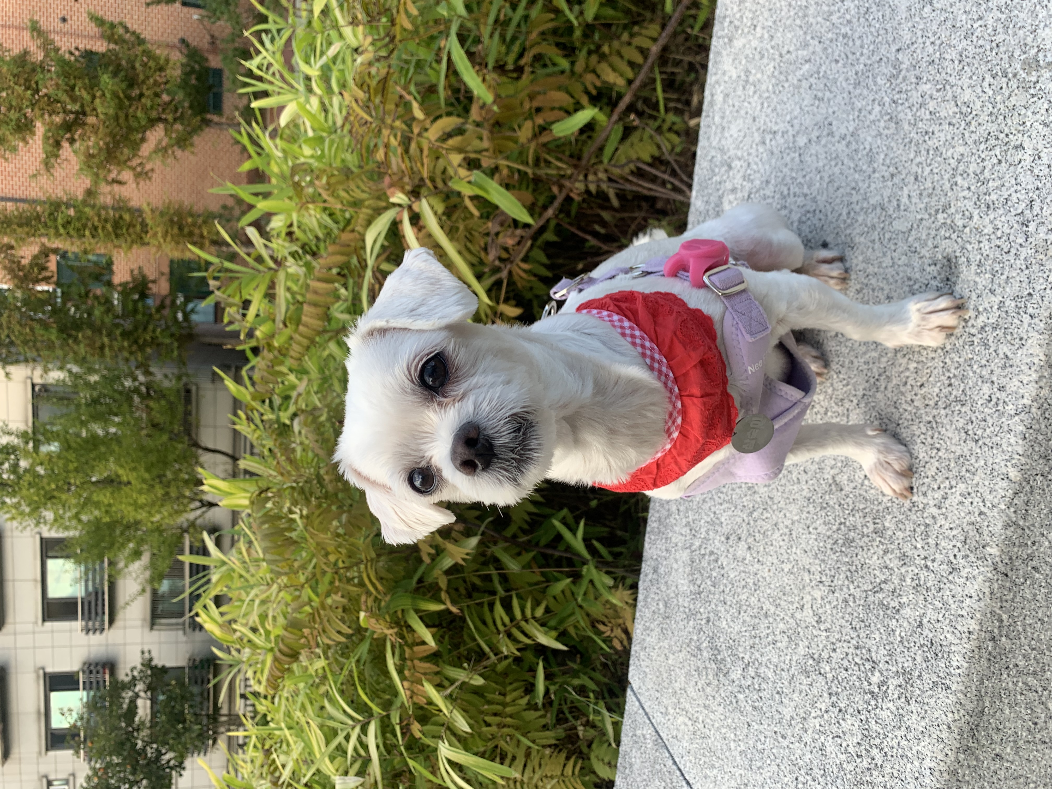 삼숙이 입양 후 이야기!